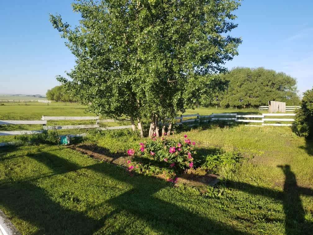 Mountain View Property