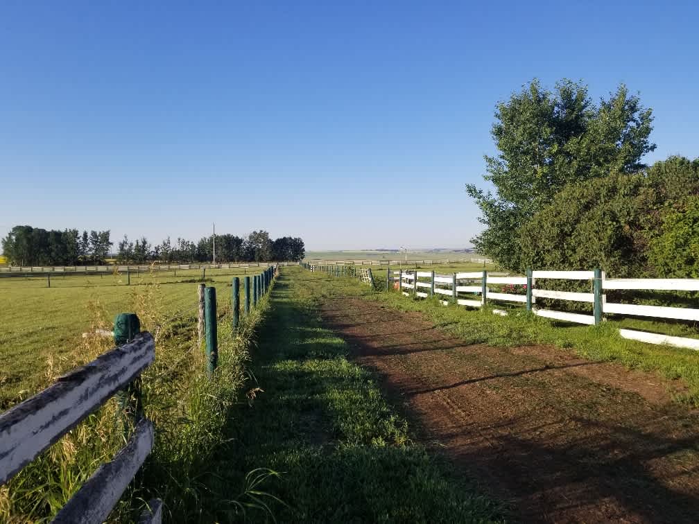 Mountain View Property