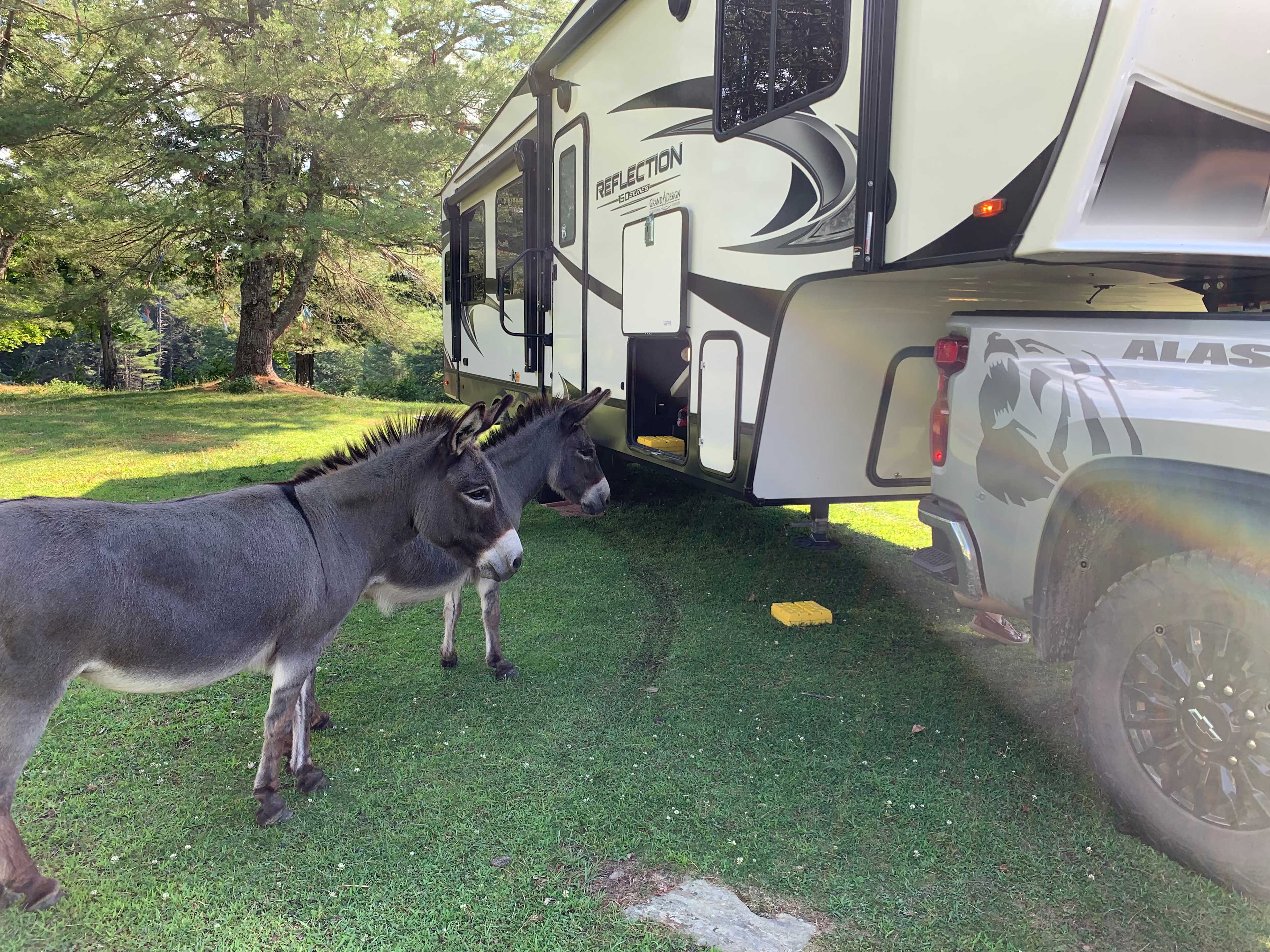 Willoughby Farm Animal Rescue