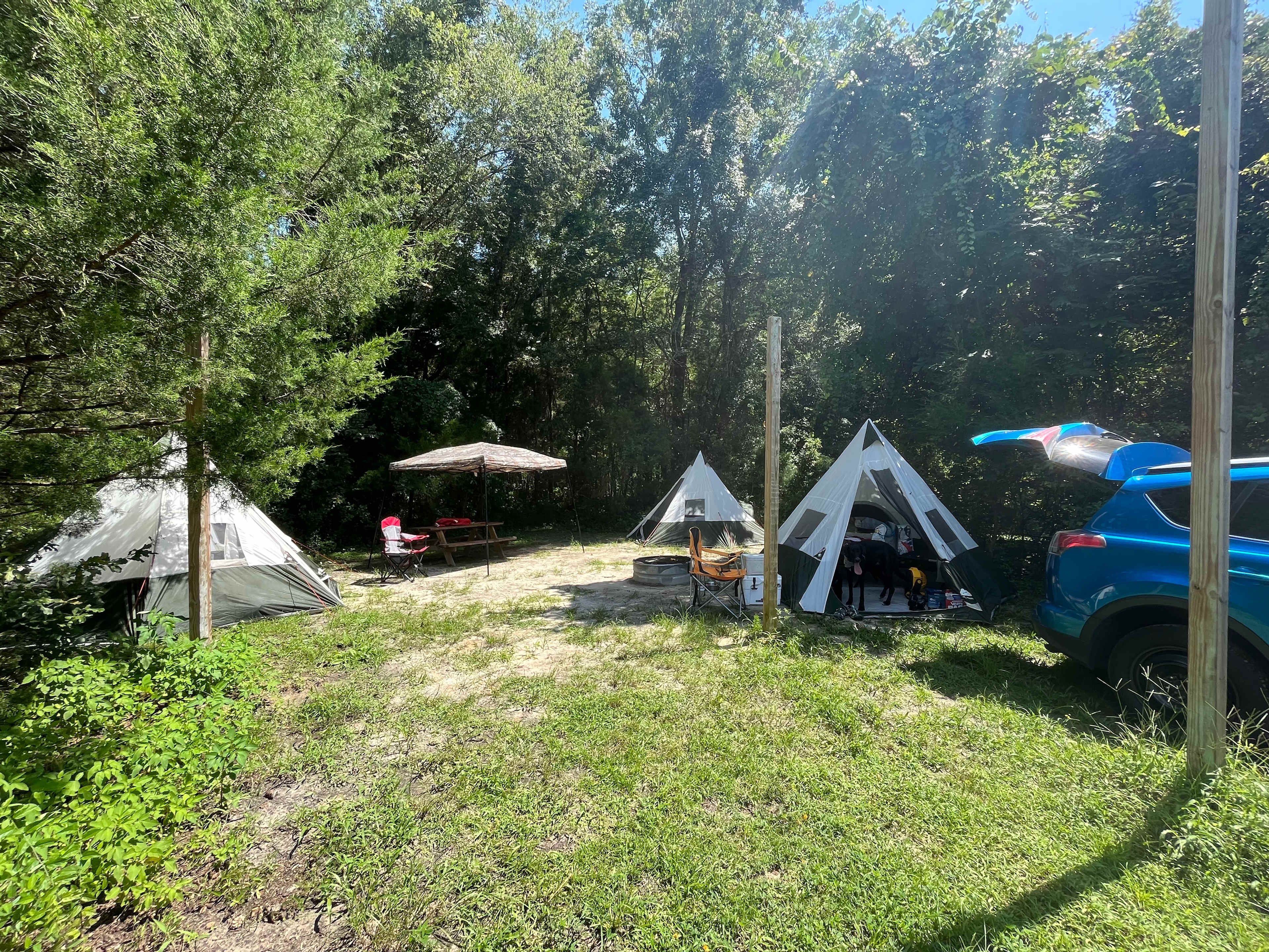 Plenty of space 
