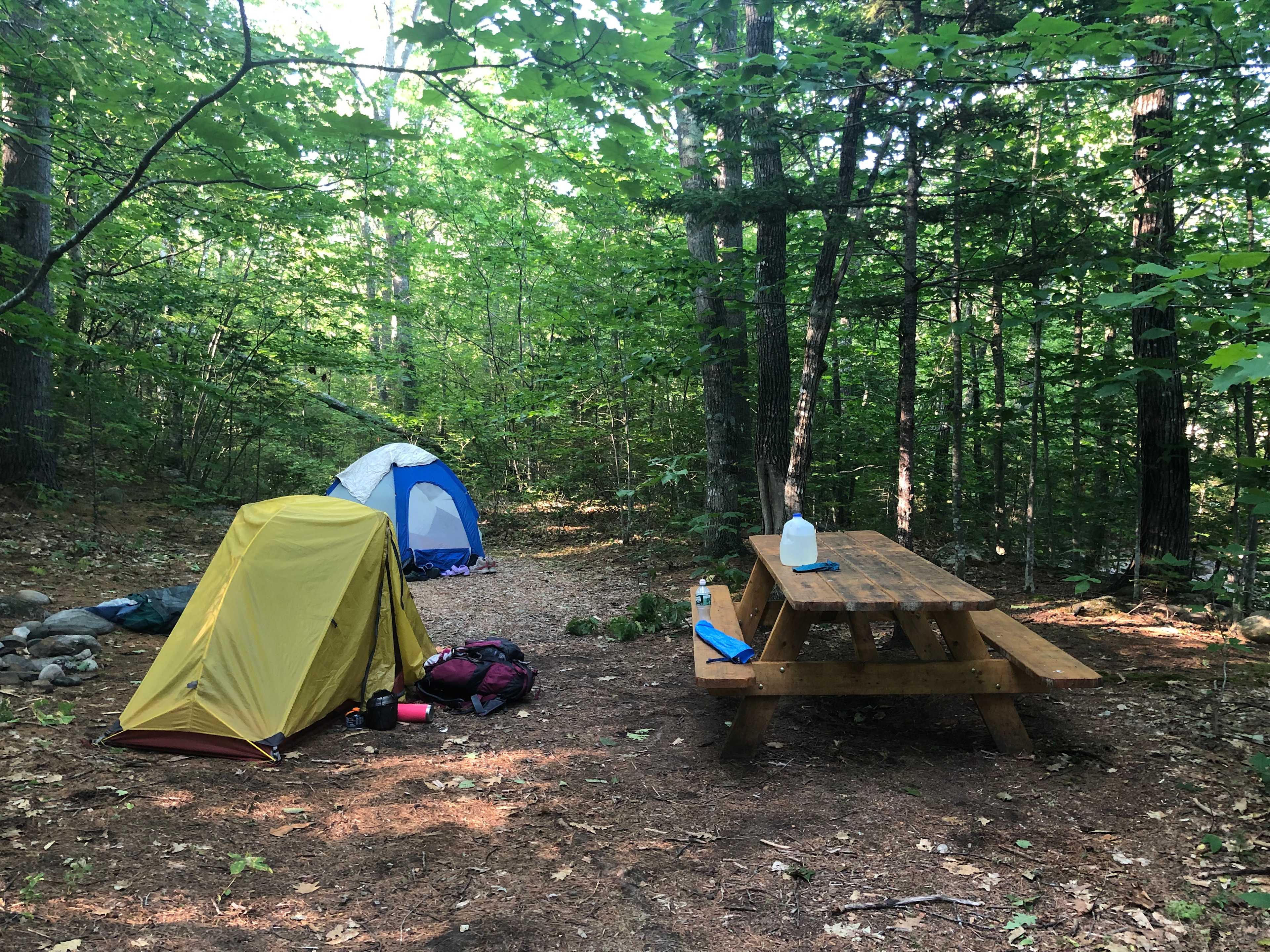 Riverside campsite 