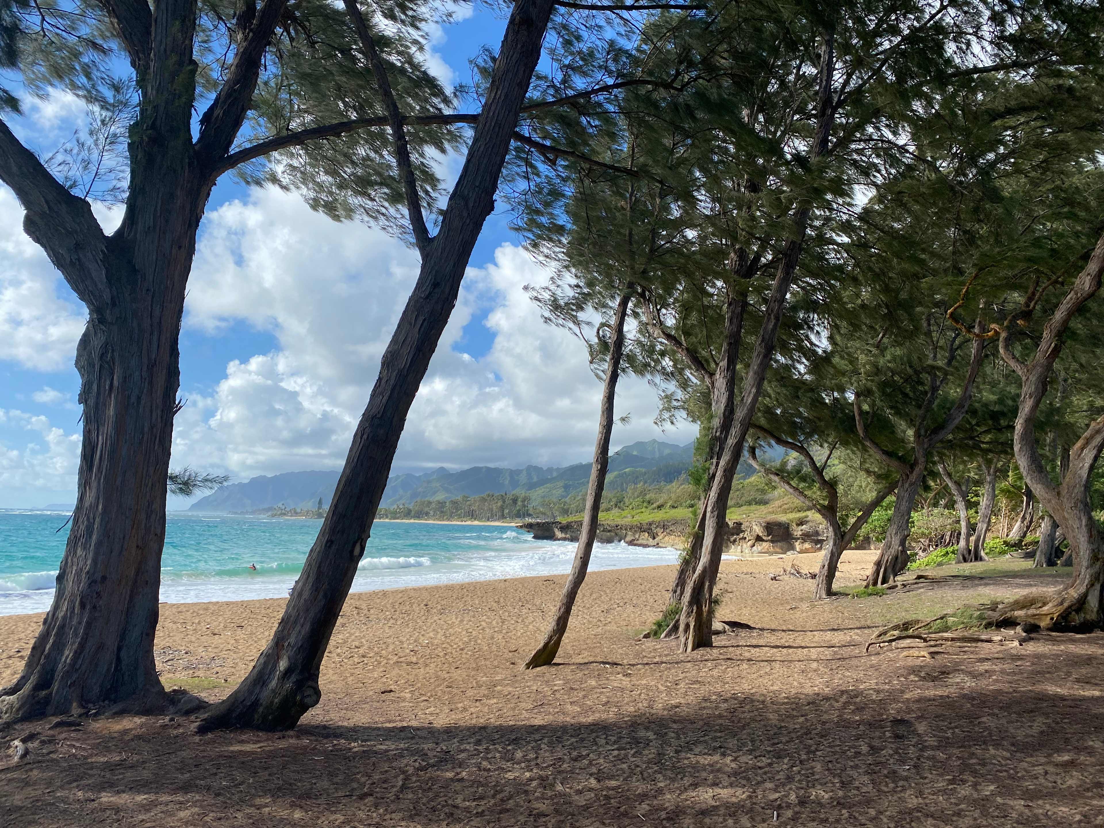 Hau'ula Homestead