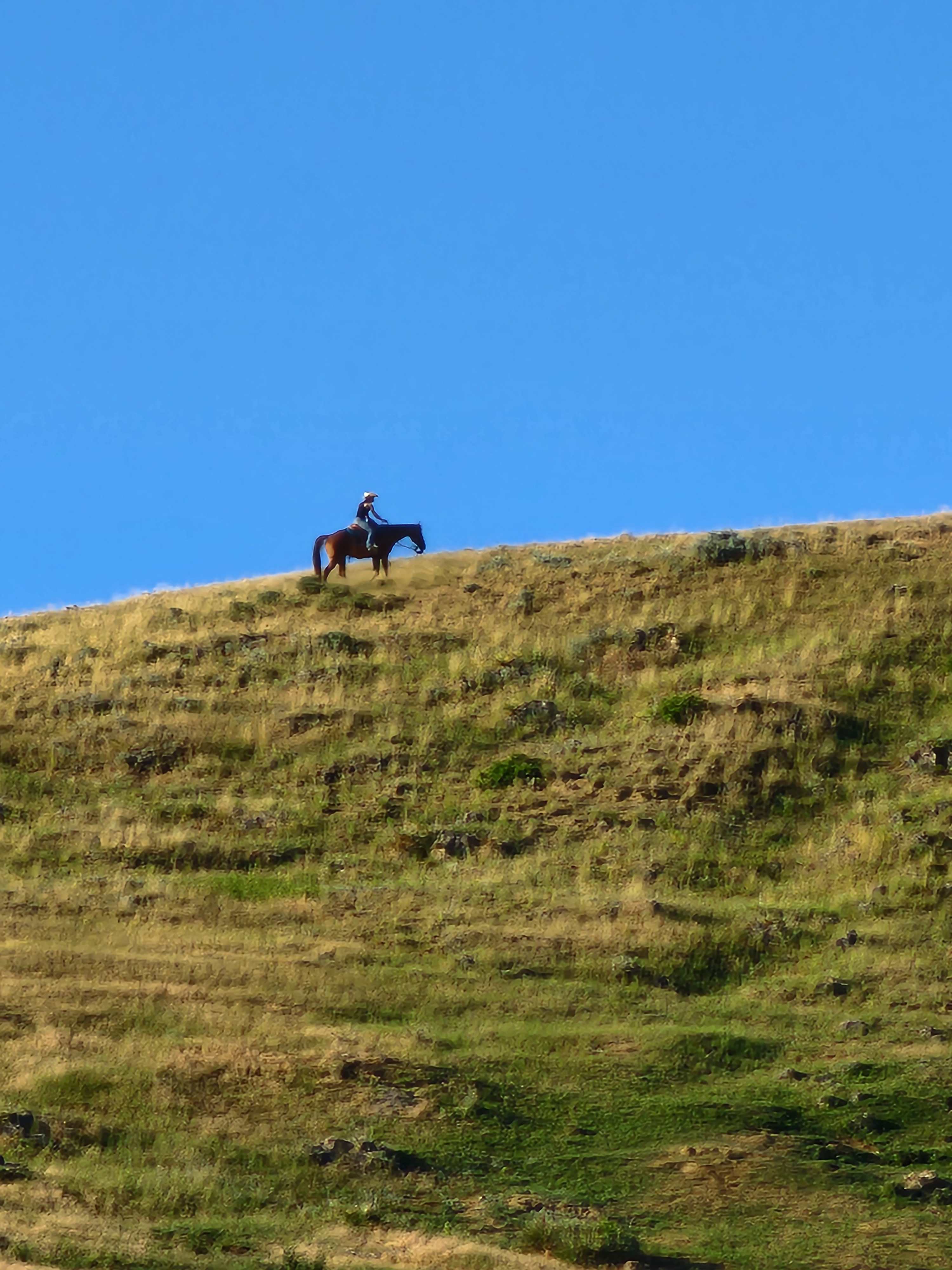 Brackettry Ranch
