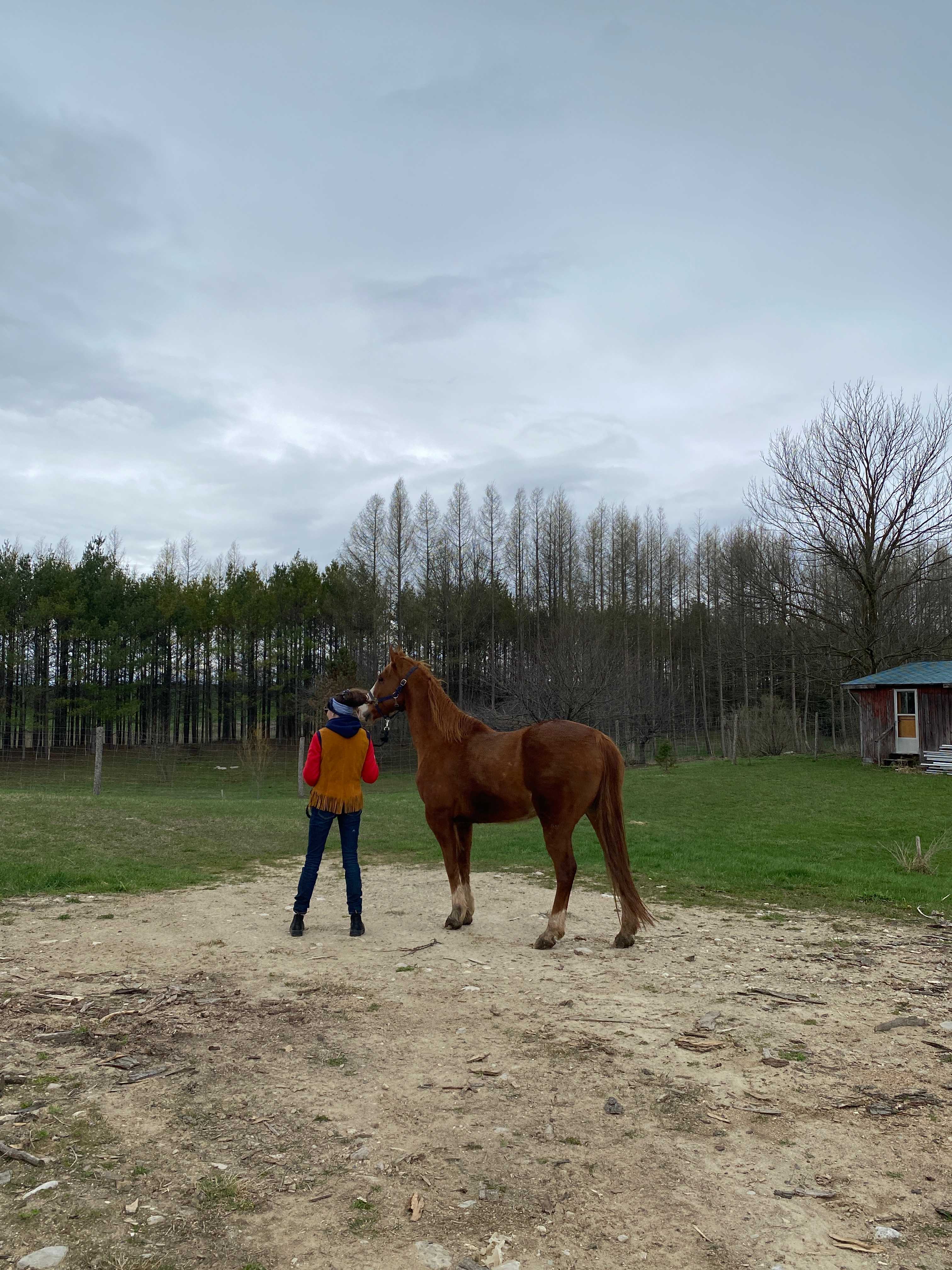 SUJO Funny Farm Camping