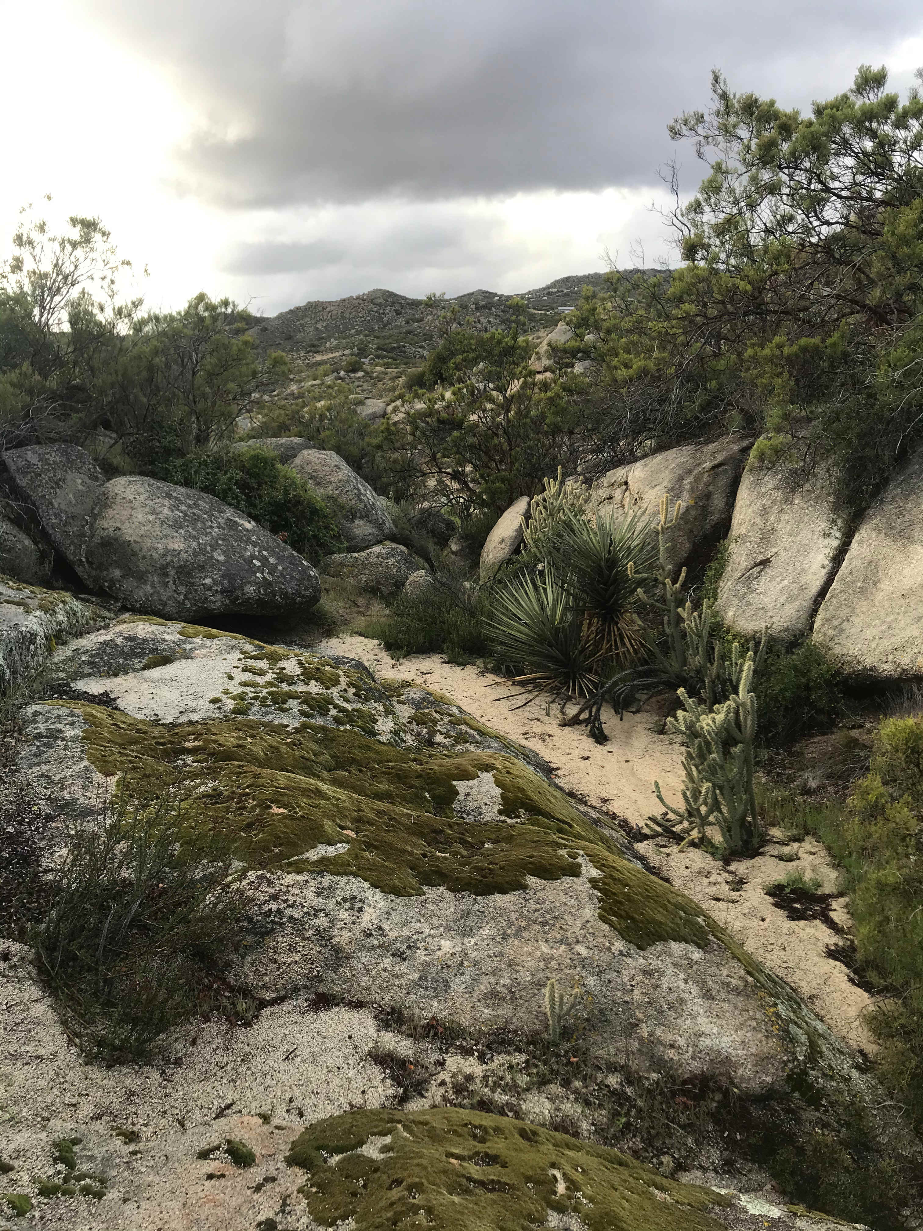 ANZA VALLEY FARMS