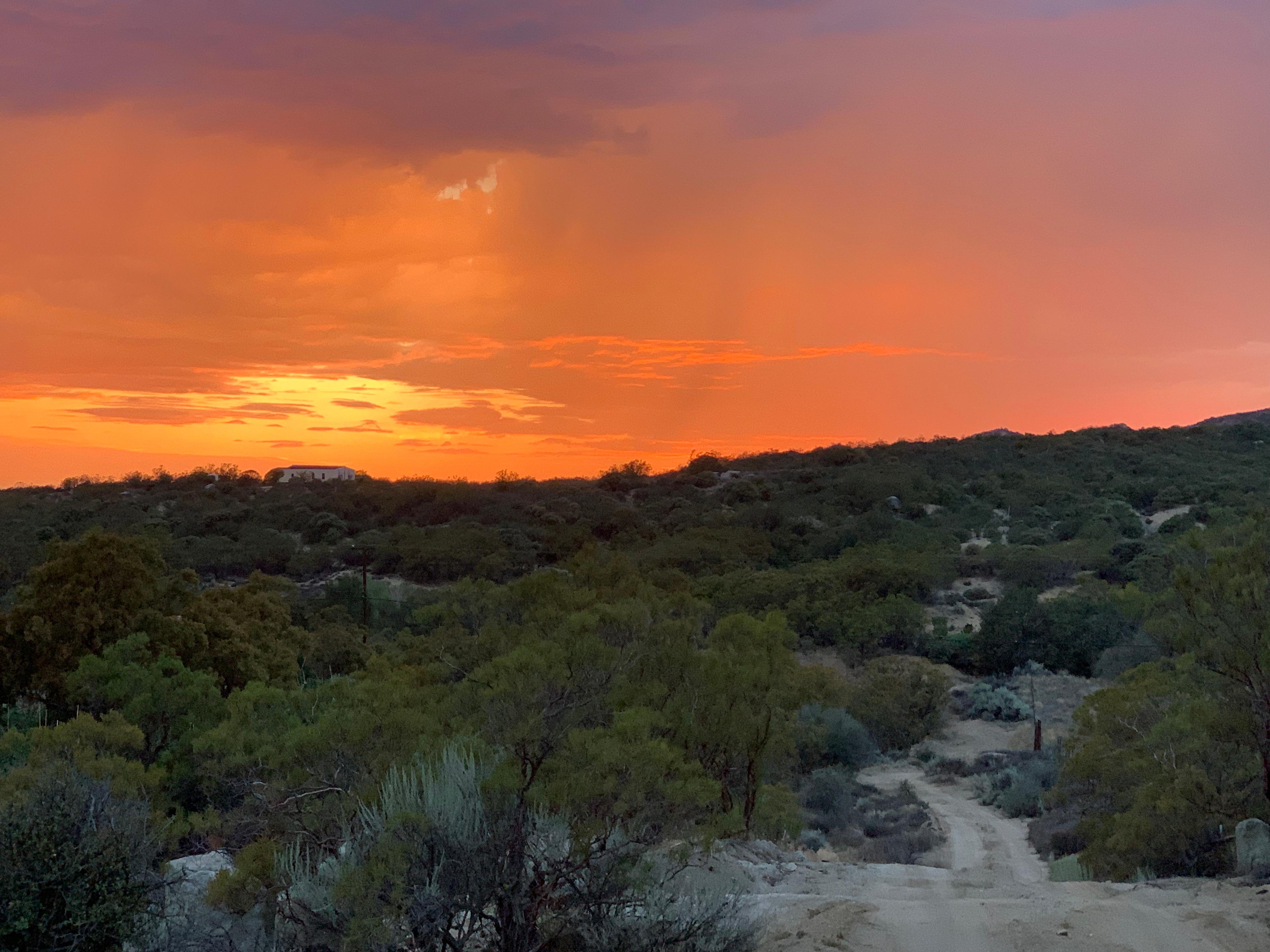 ANZA VALLEY FARMS