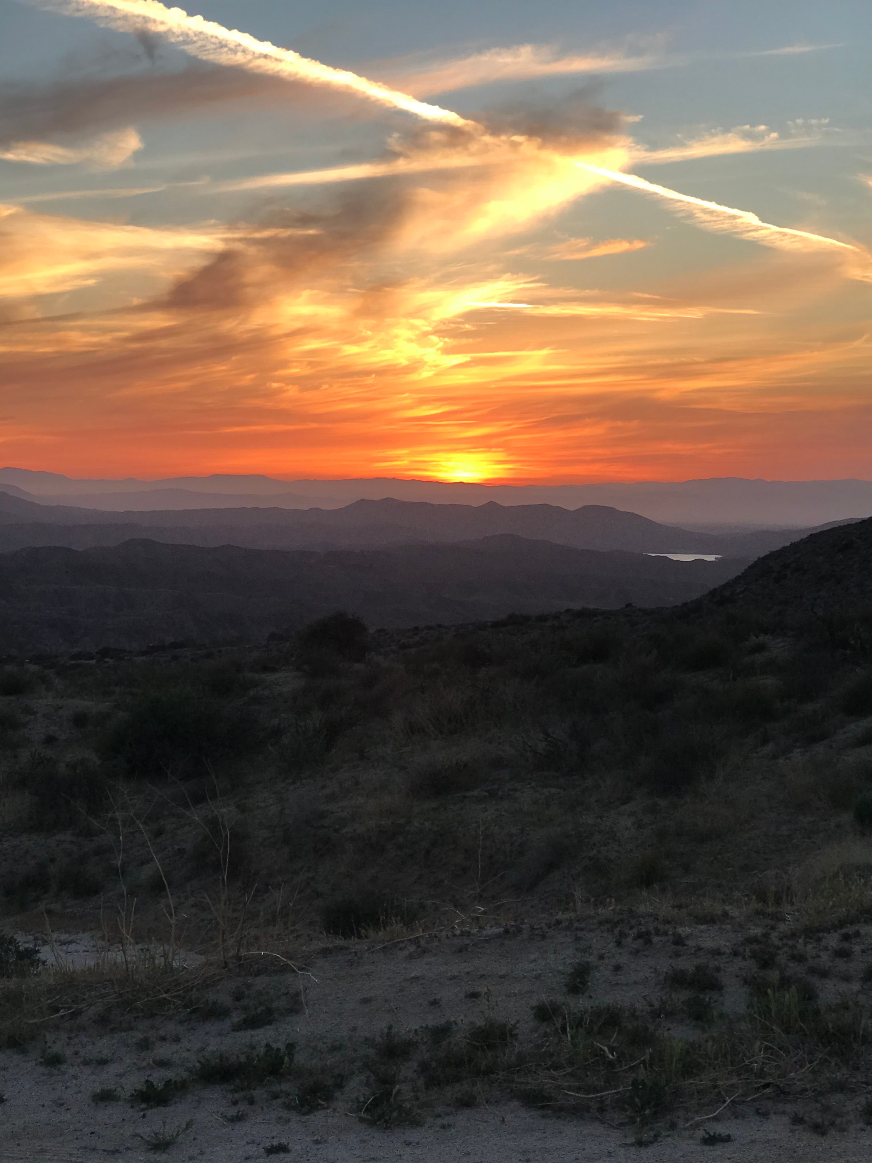 ANZA VALLEY FARMS