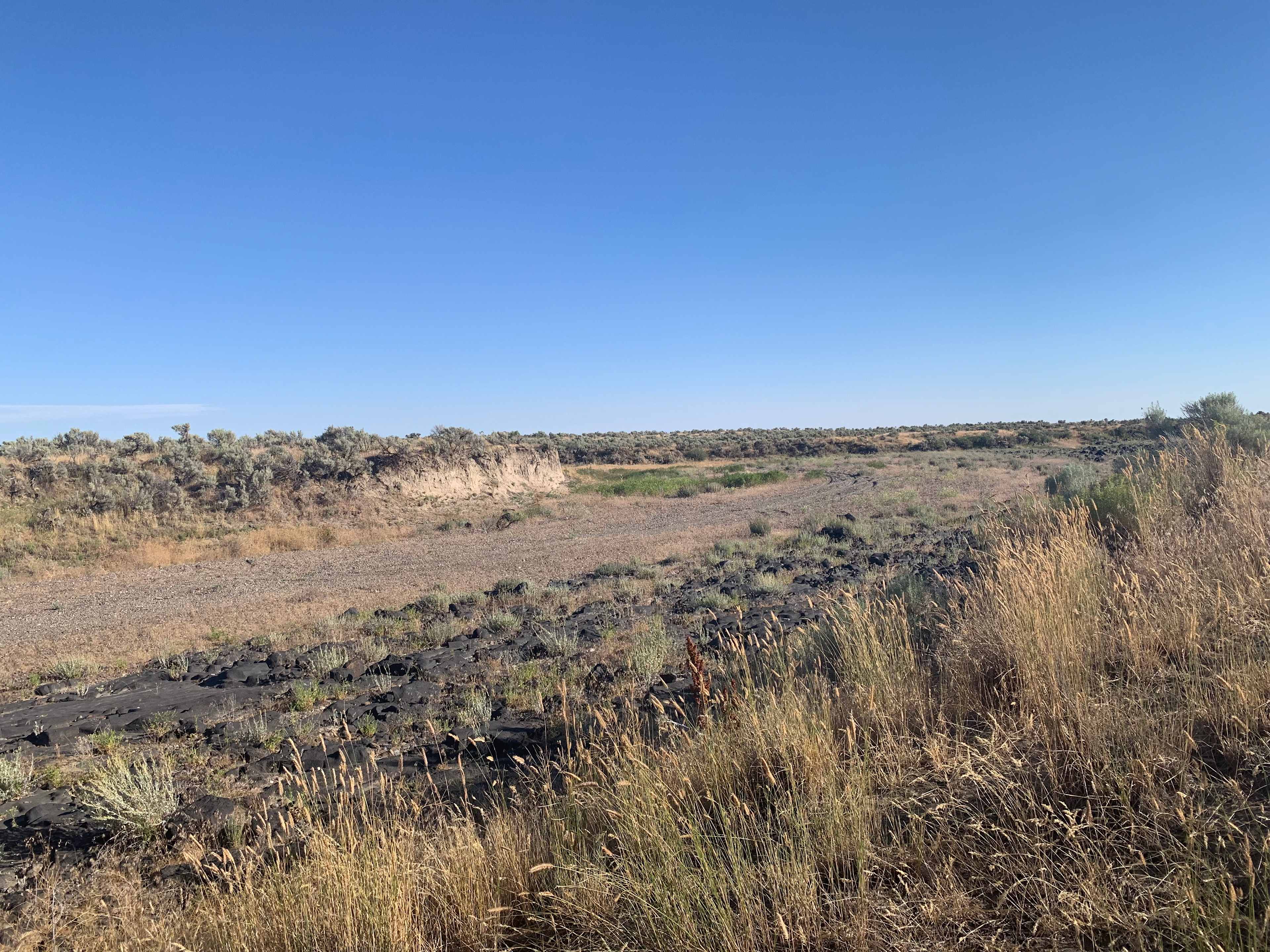 A dry creek bed nearby. Across the way is a nice canal to swim at. You can ask Brittney for directions and a nice quiet swim. 