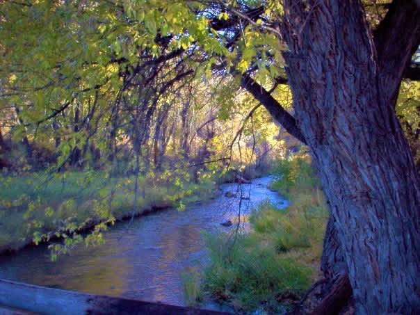Parrish Ranch Campground