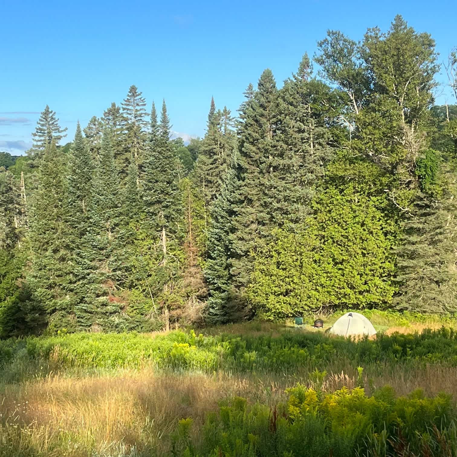 Picture of the site