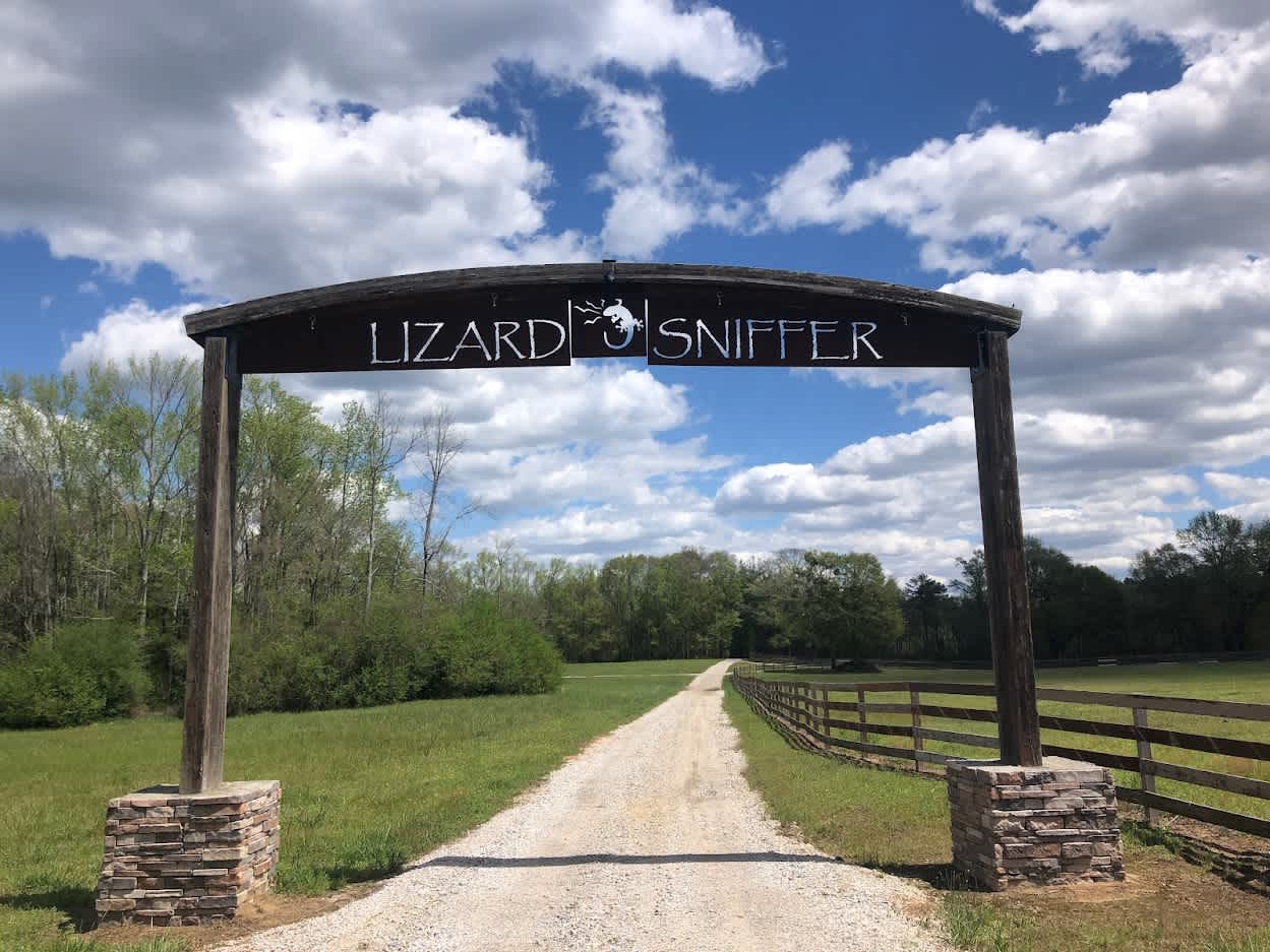 Lizardsniffer