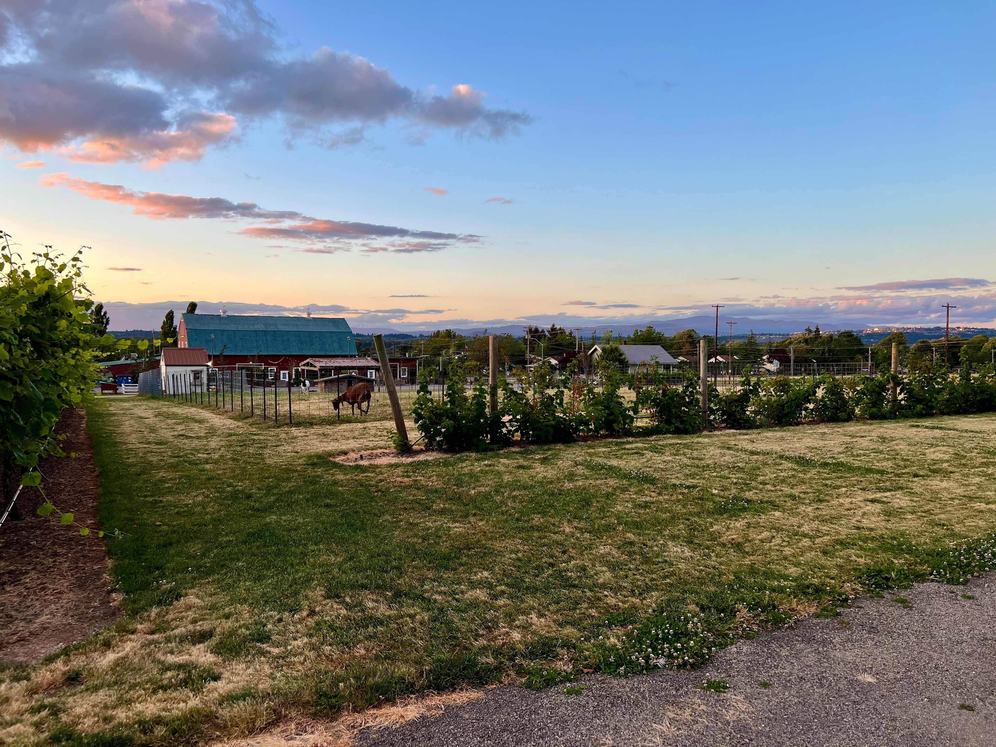 Your Farm in the City