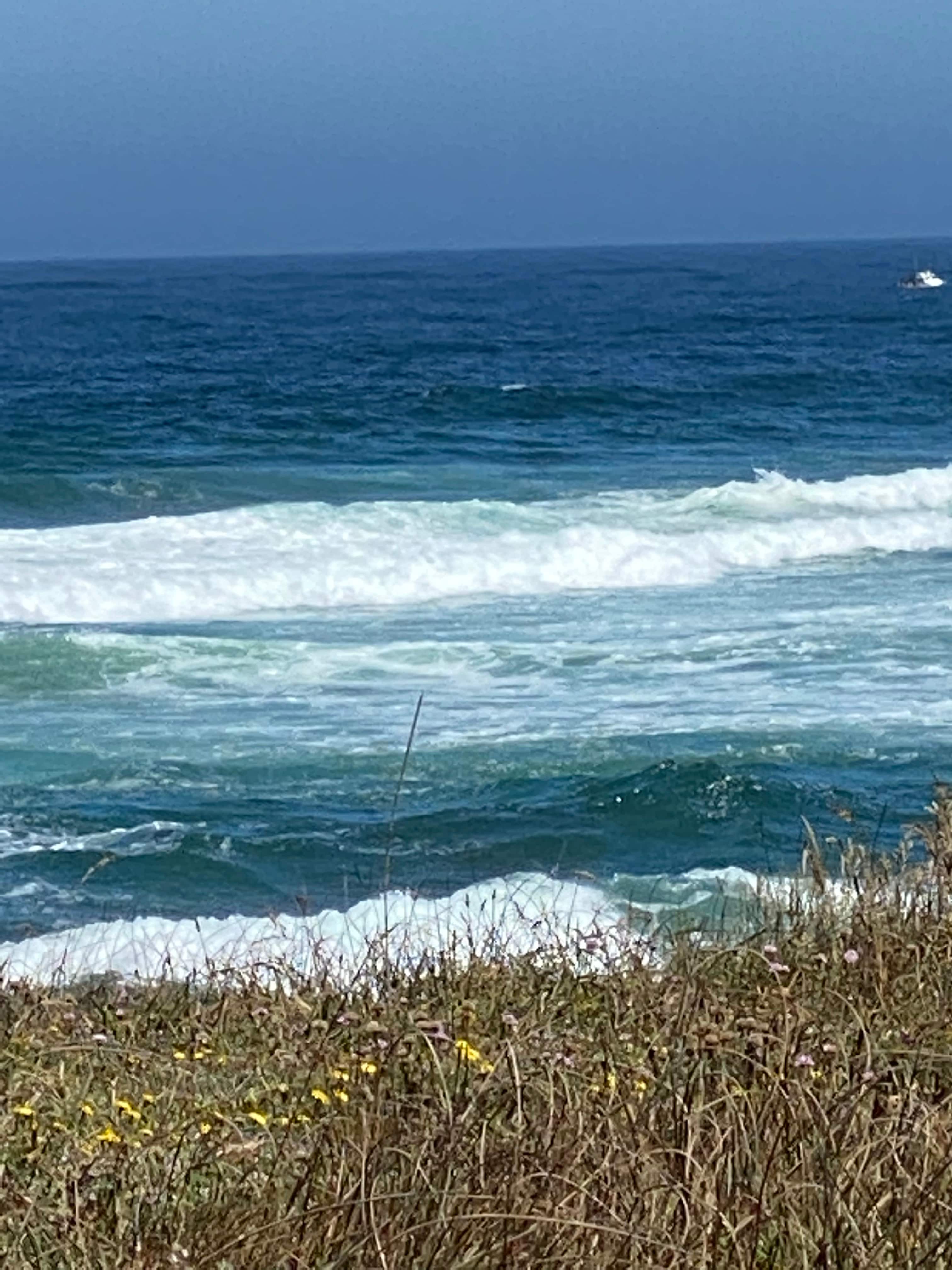 Private Acreage on the Pacific