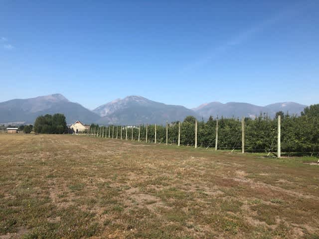 View from the back of our property.