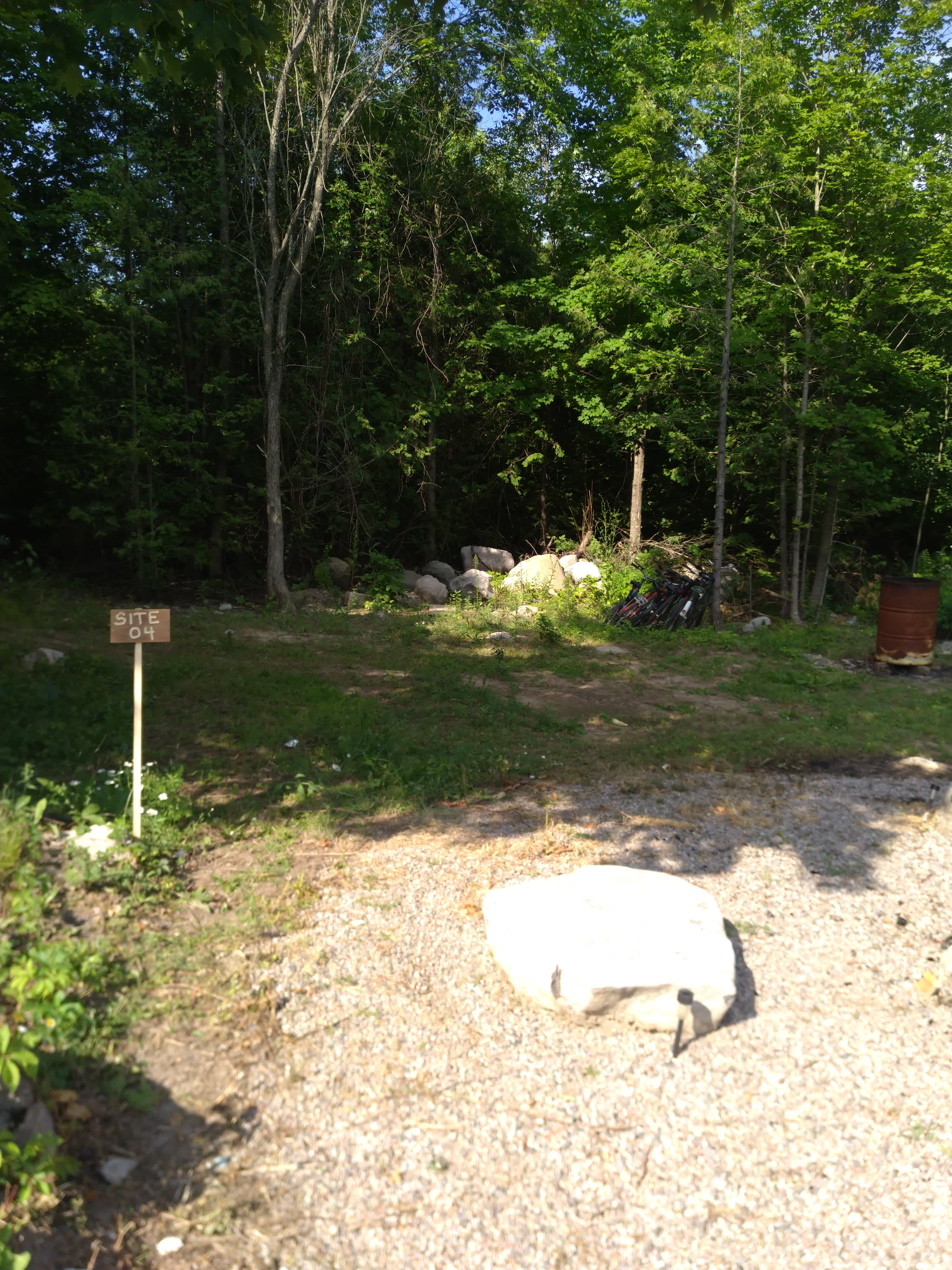 Picture of the site