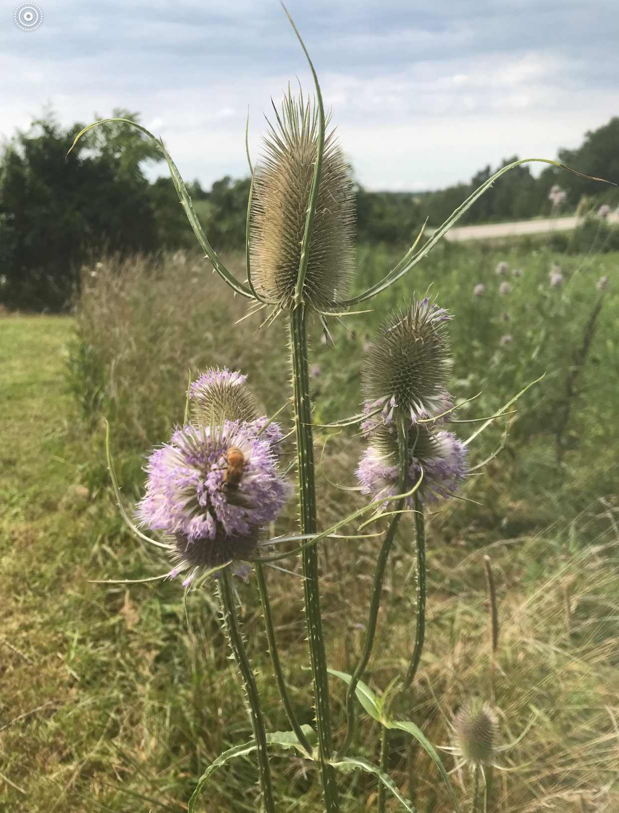 Prince of Peace Campground