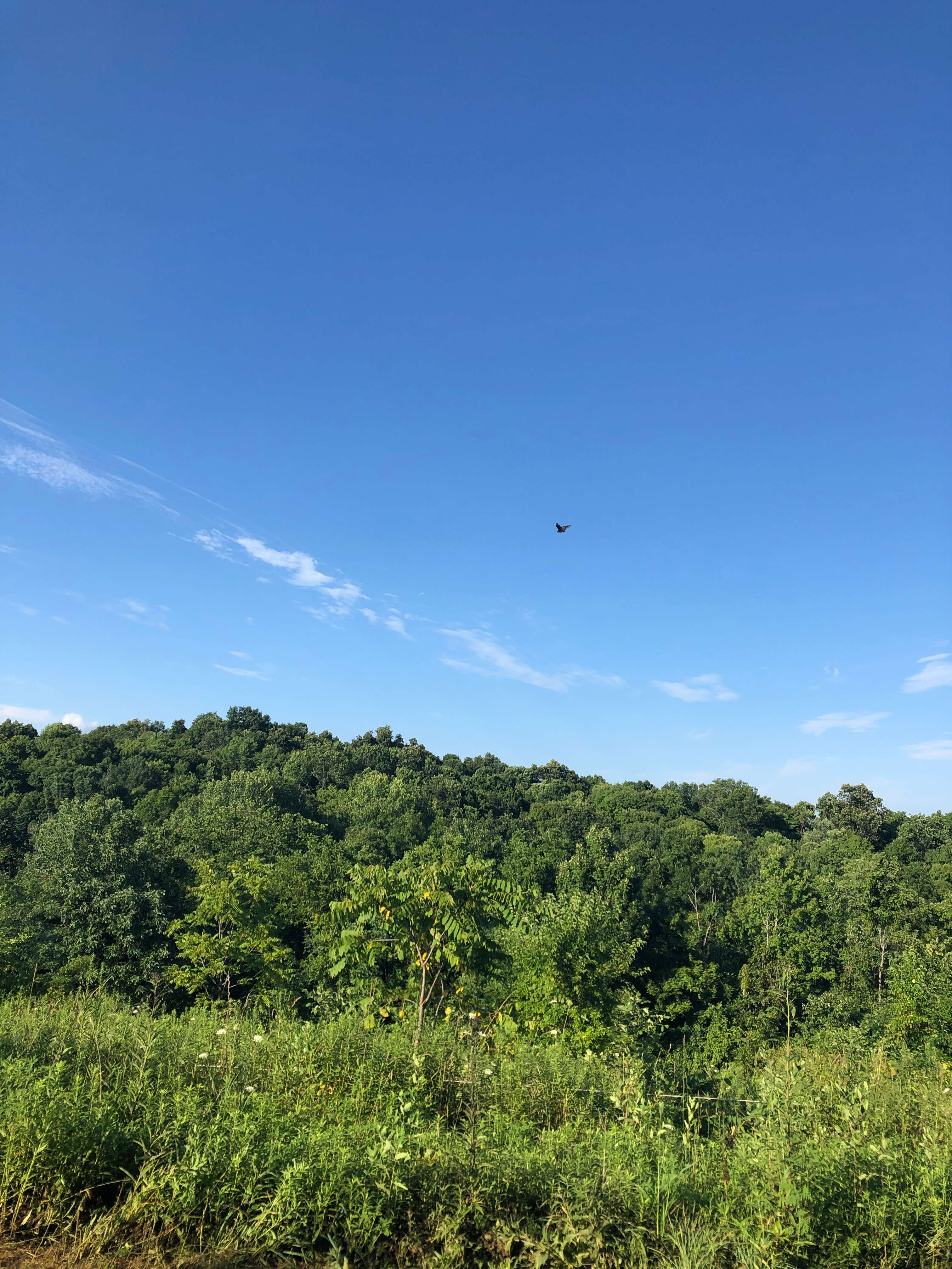 Prince of Peace Campground