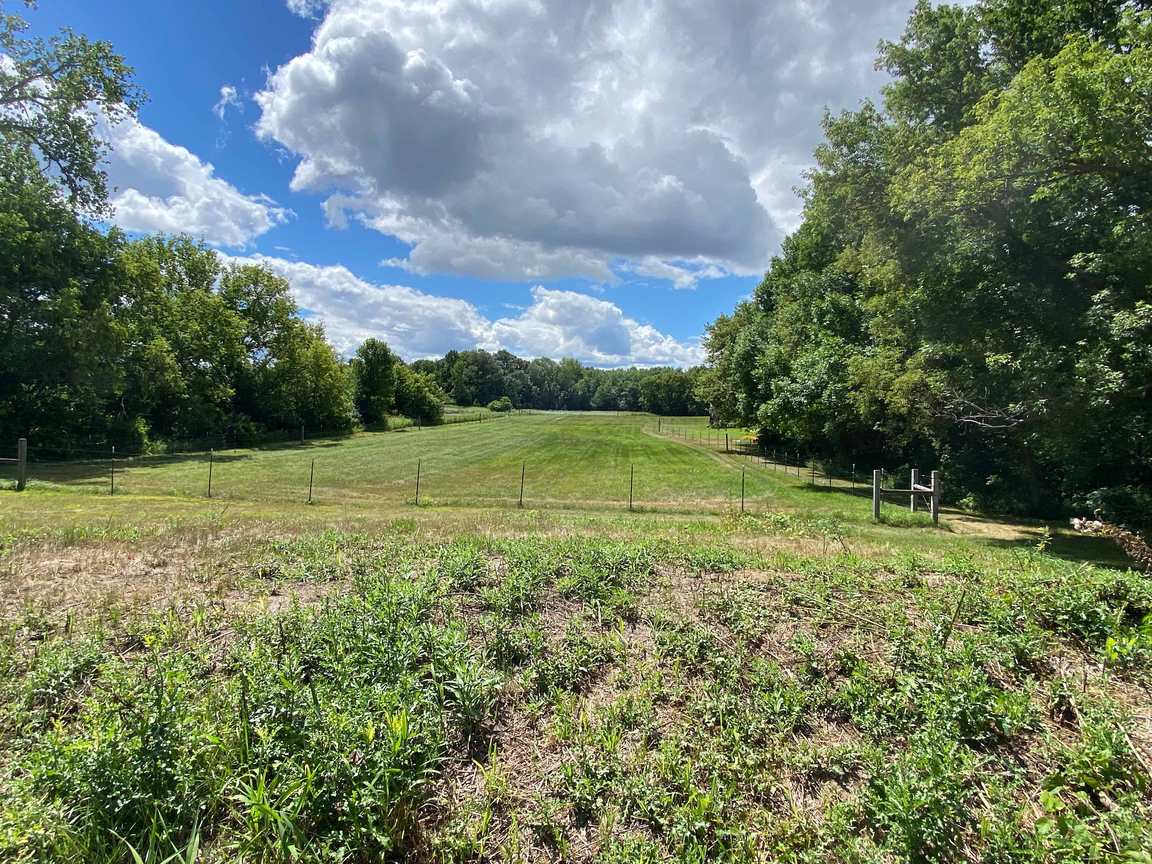 Paquin Farm