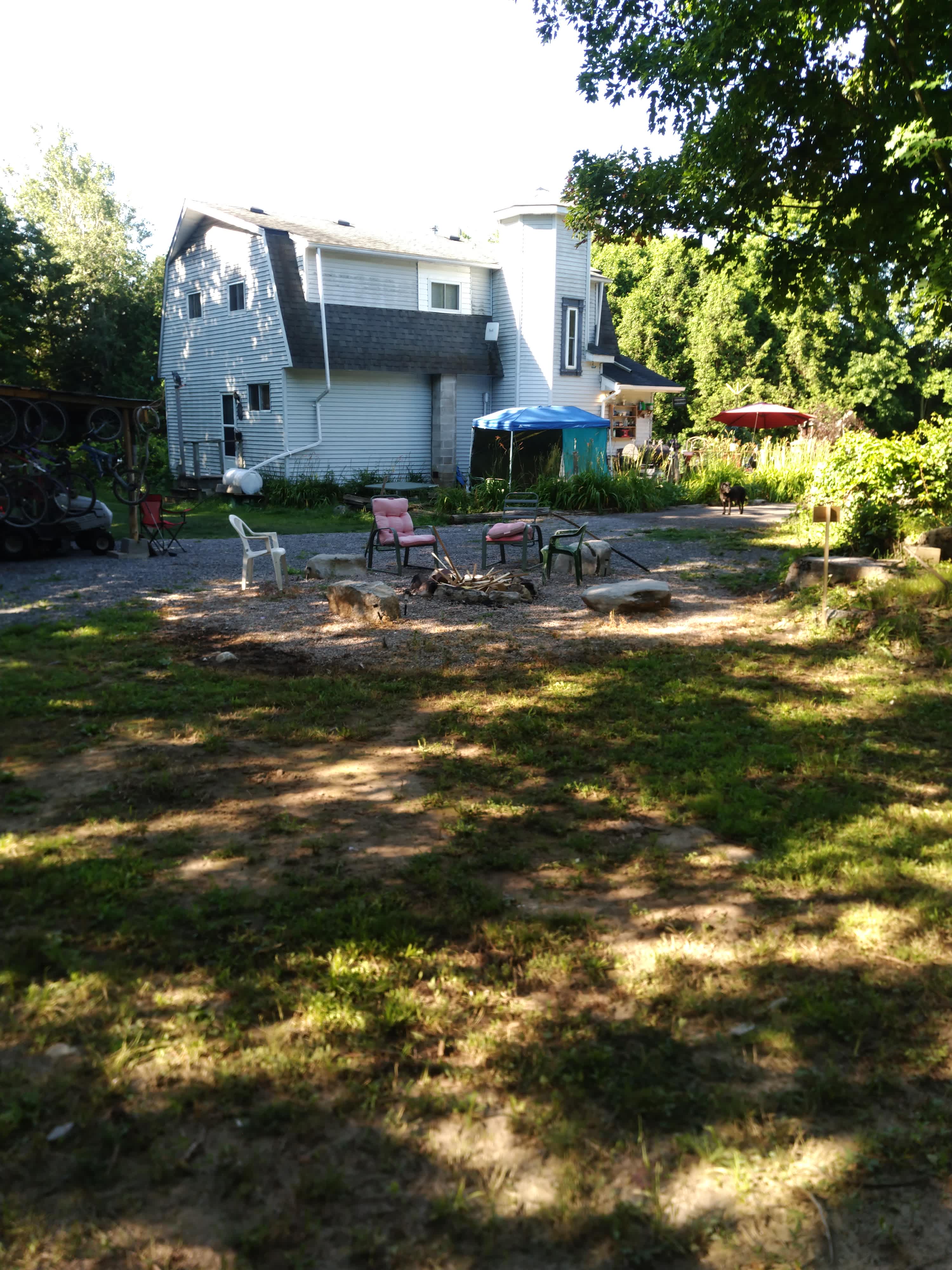 Picture of the site
