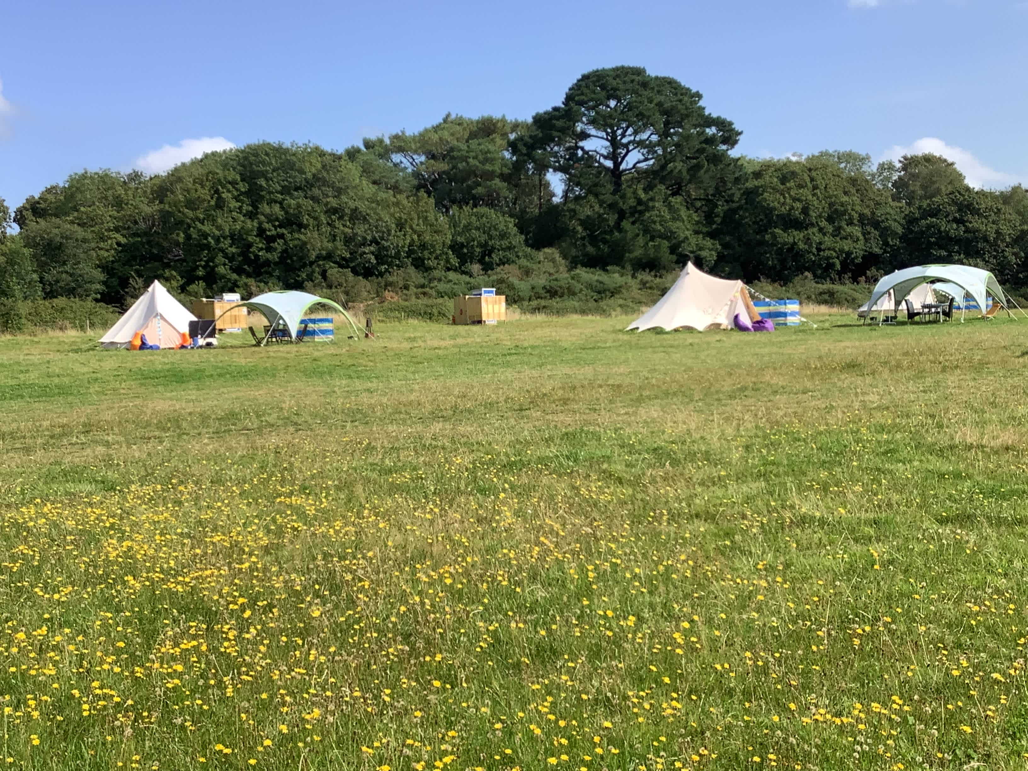 West Holme Glamping, Dorset