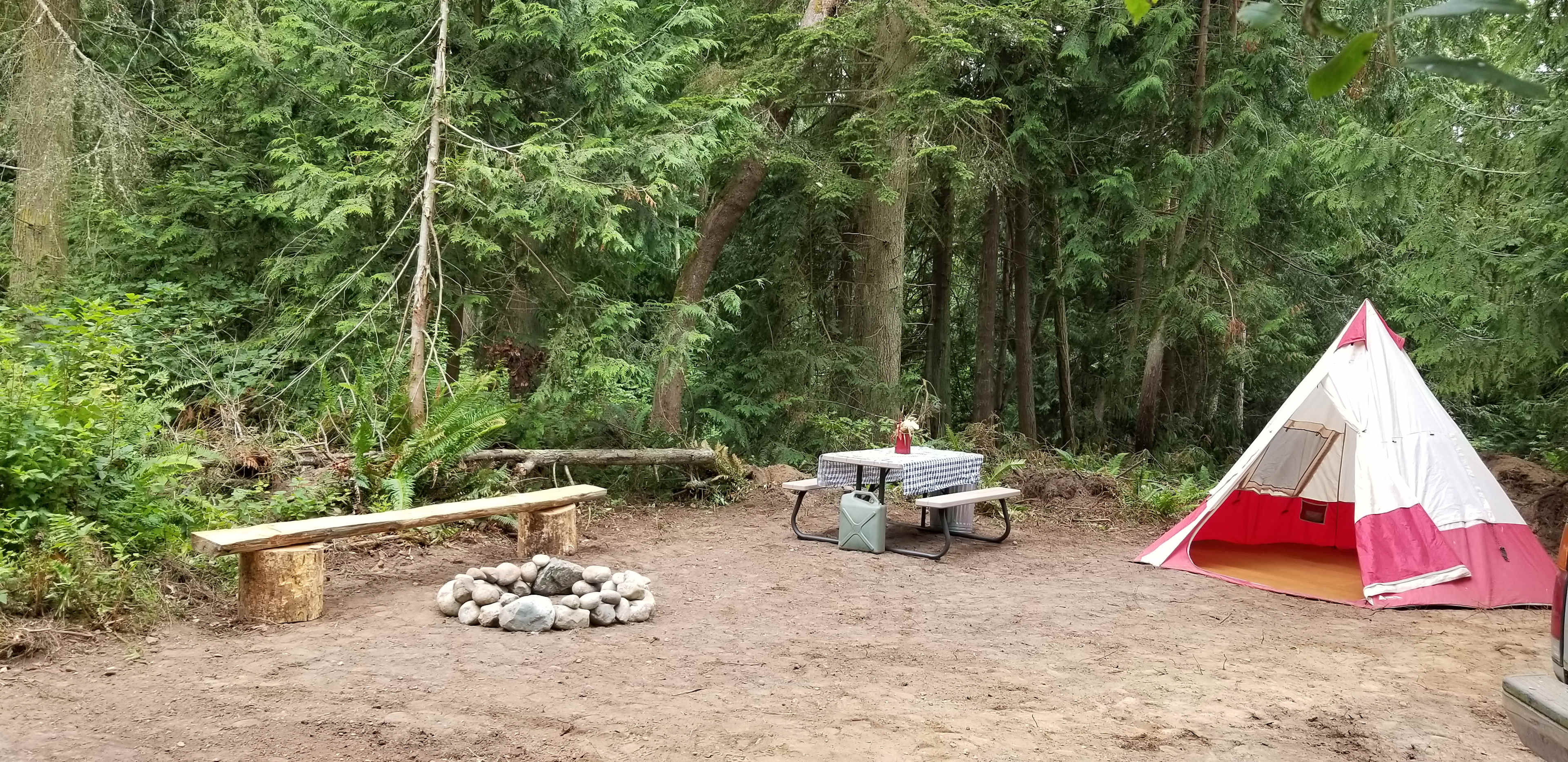 Picture of the site