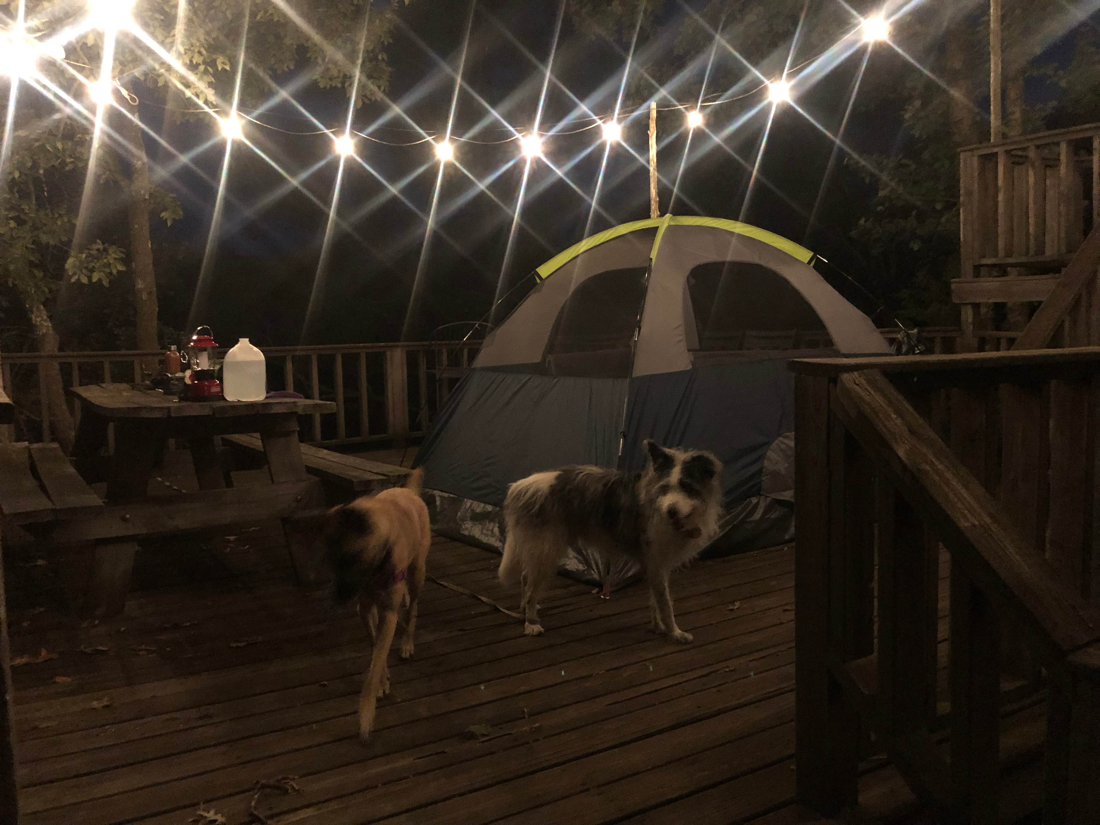 I chose to pitch my tent on the deck so I could wake up in the morning to see the river. 