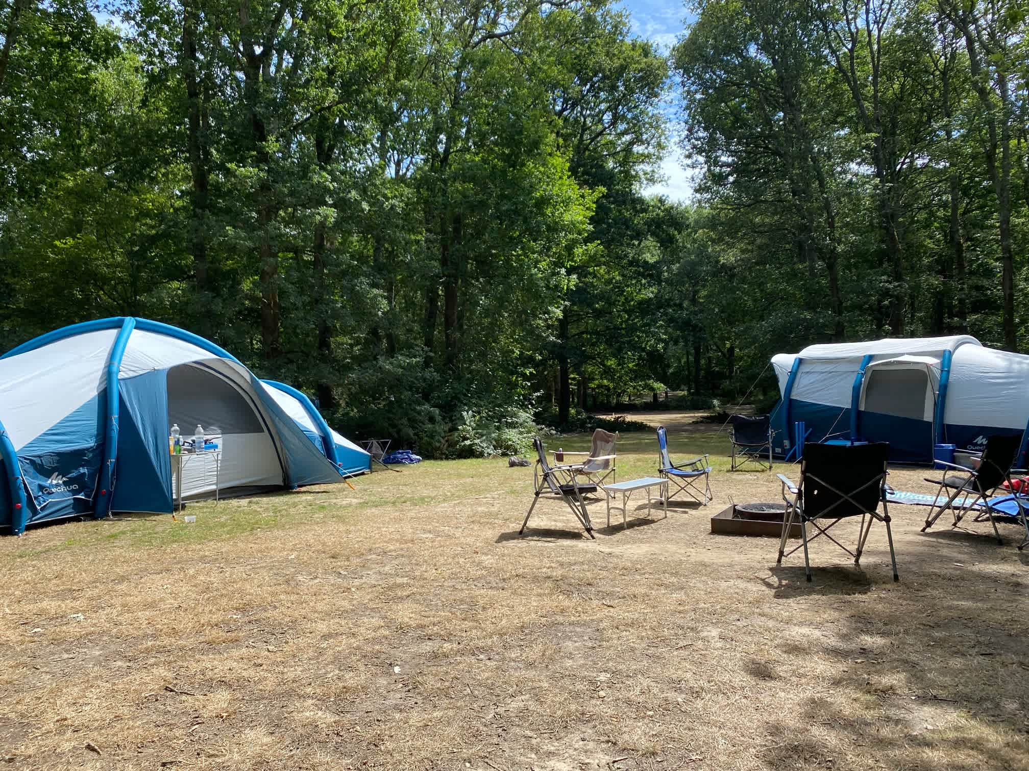 Camping glade under the trees at Fox Wood