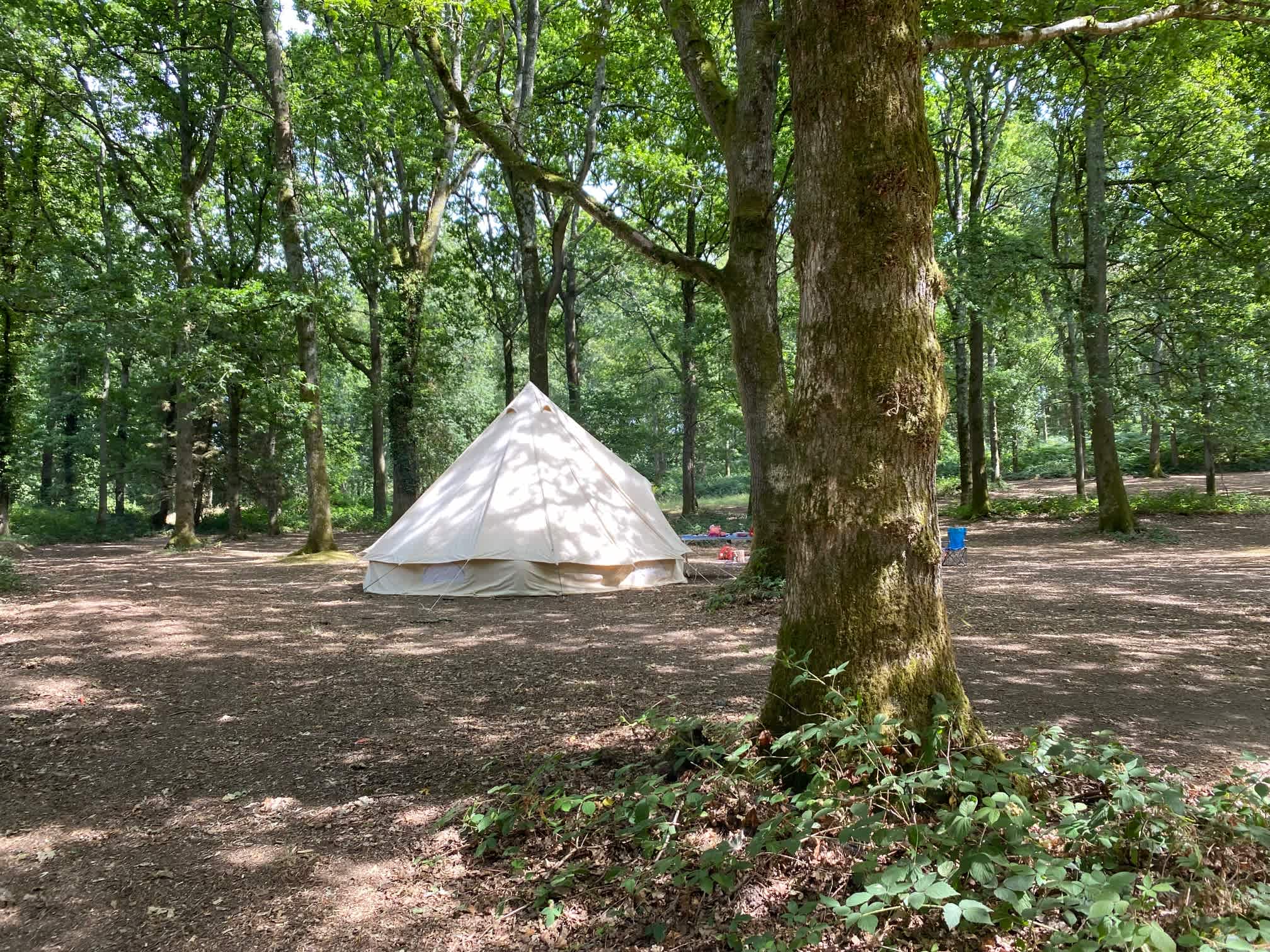 Picture of the site