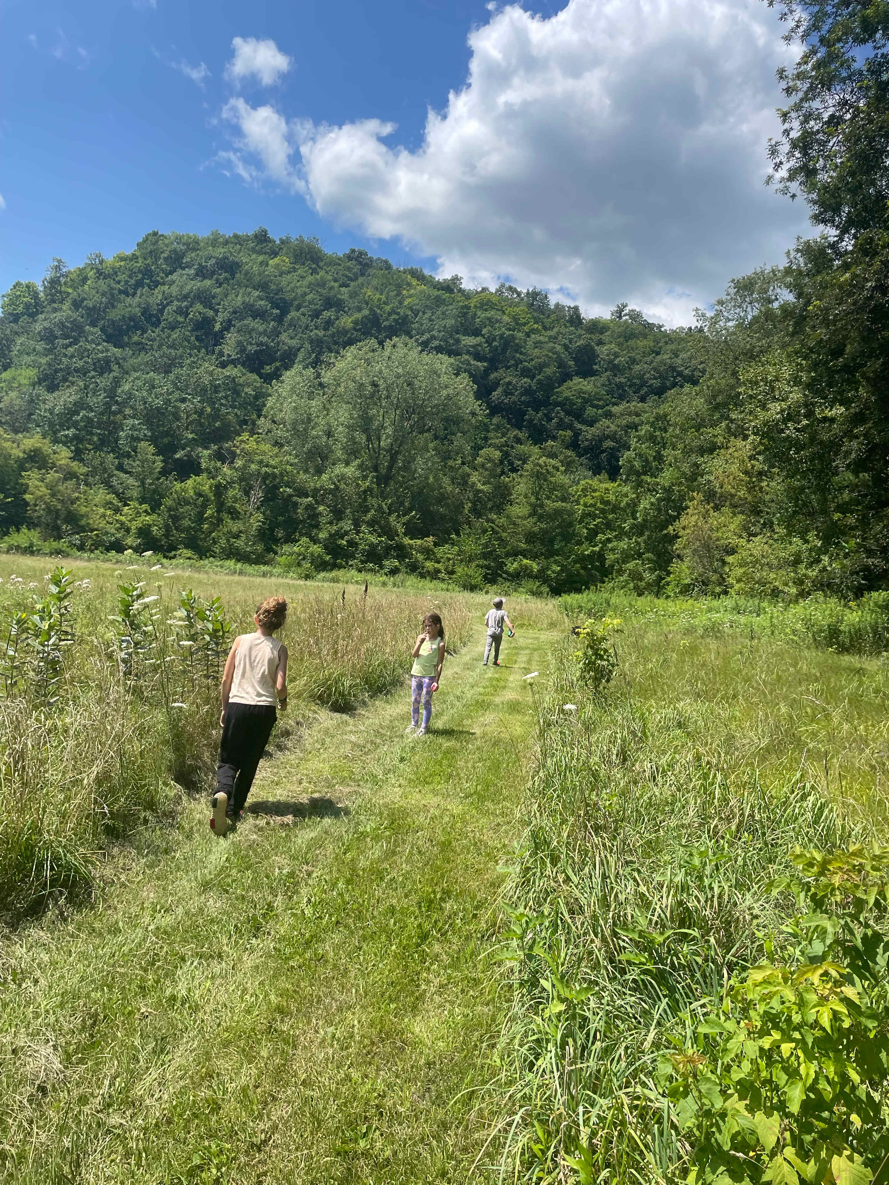 Driftless Haven 125 Acres & Creek