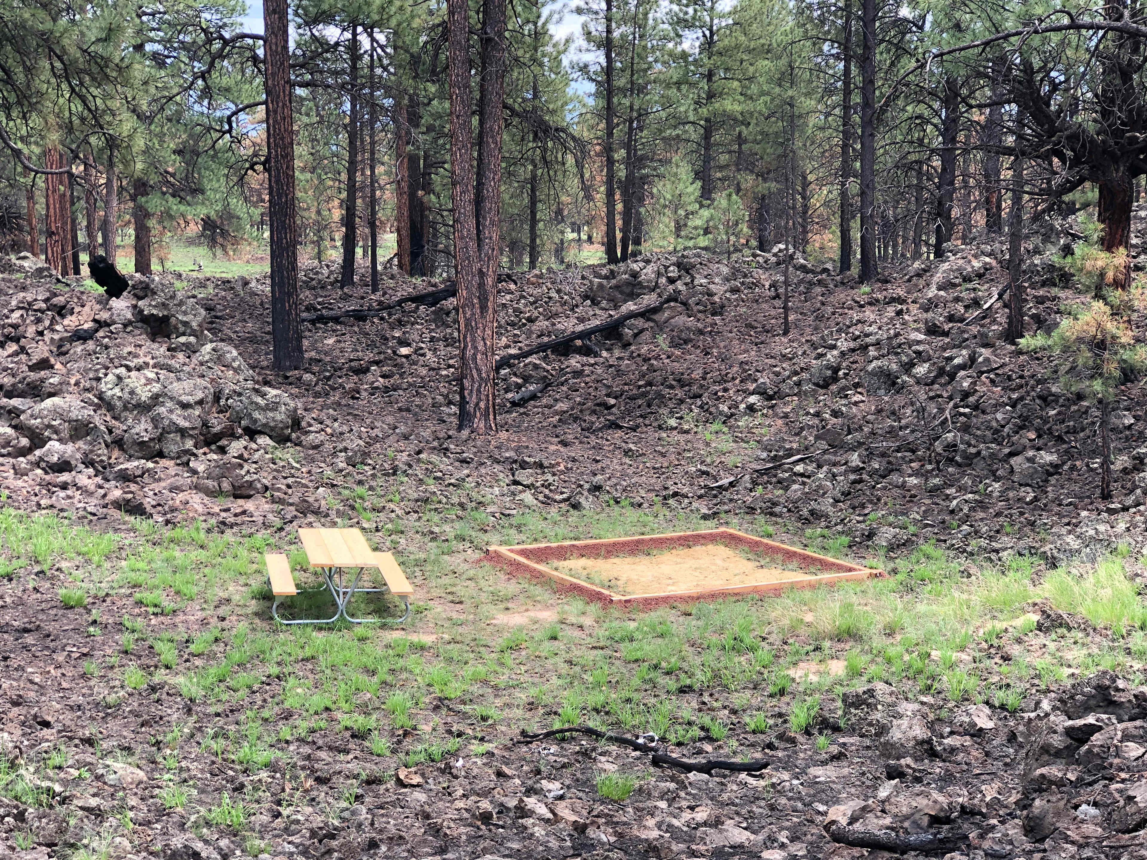 Campsite #1