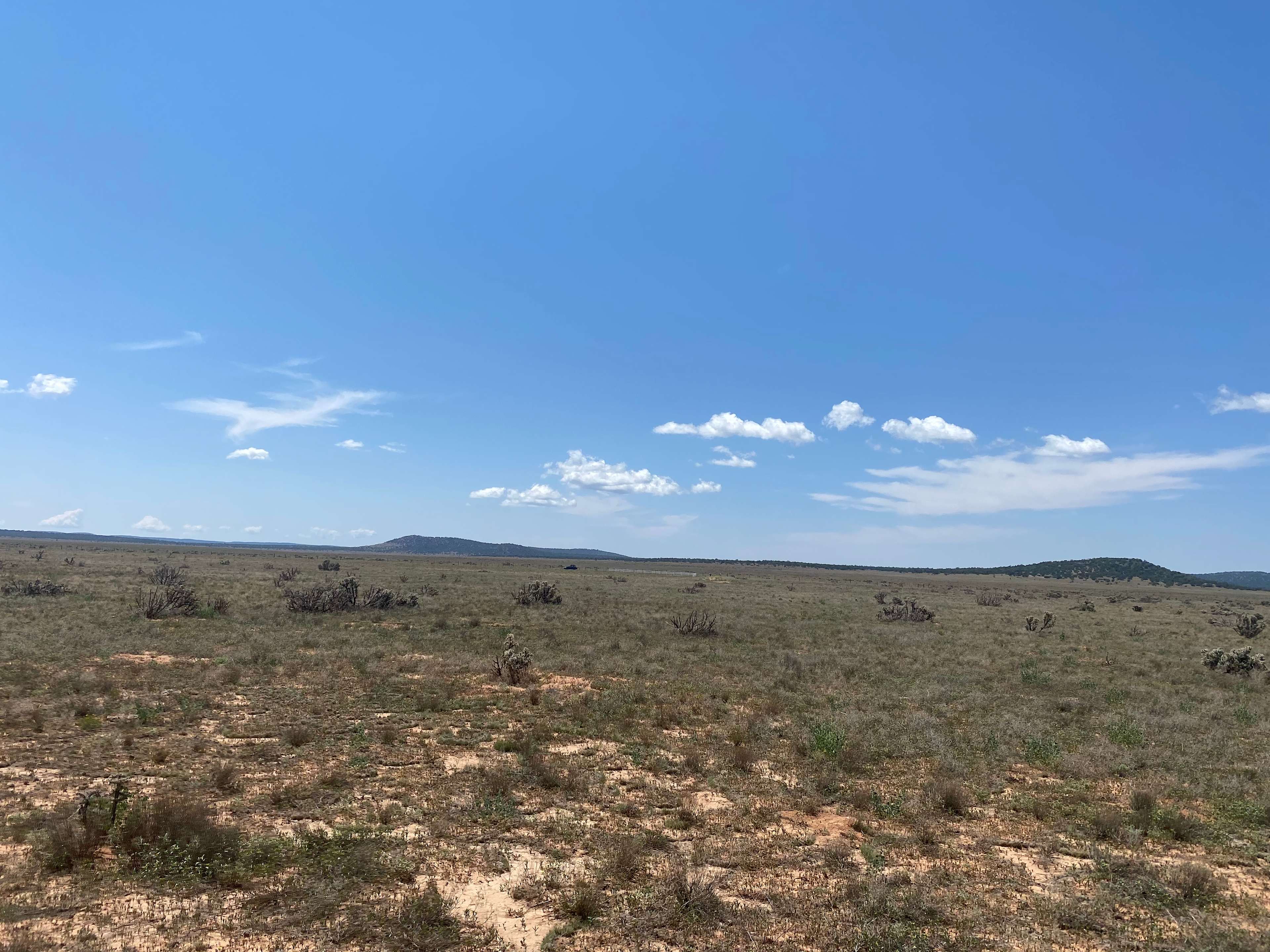 Happys Trails Ranch