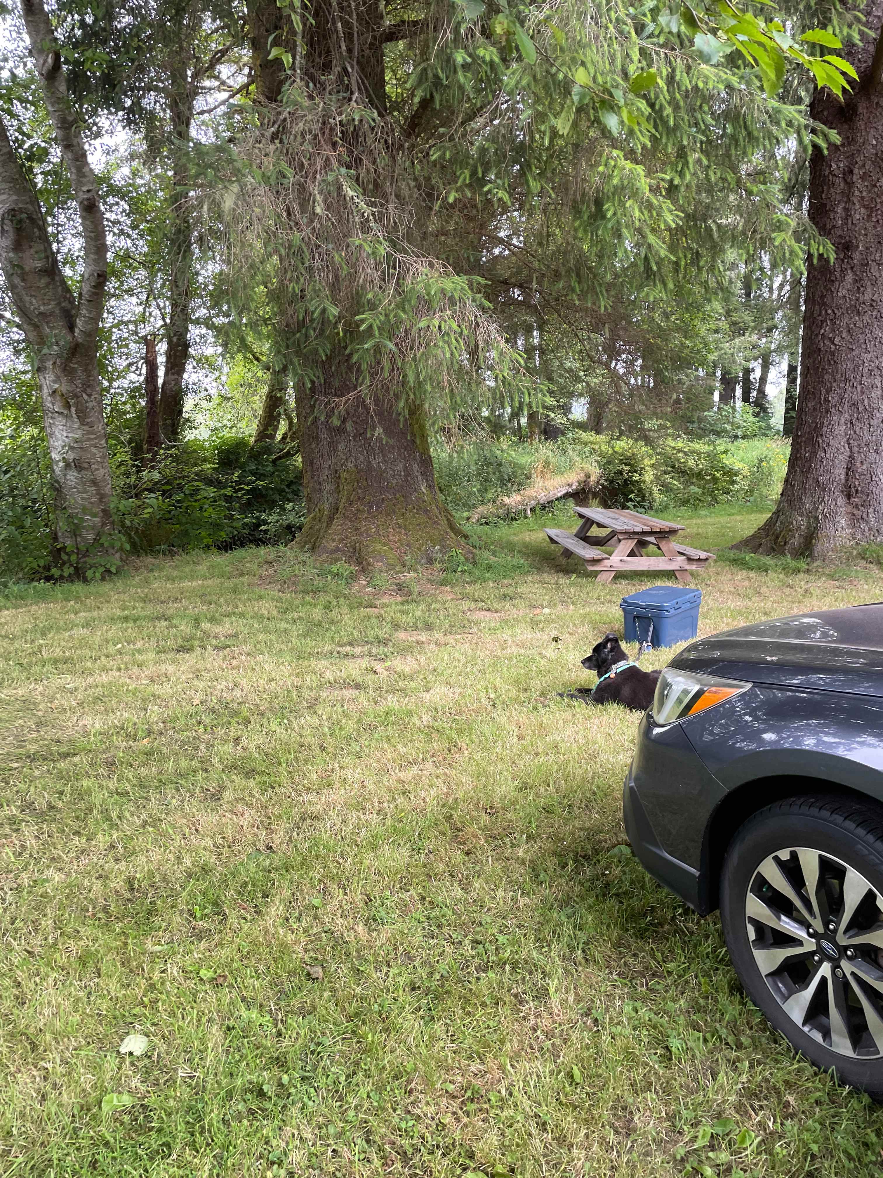 Picture of the site