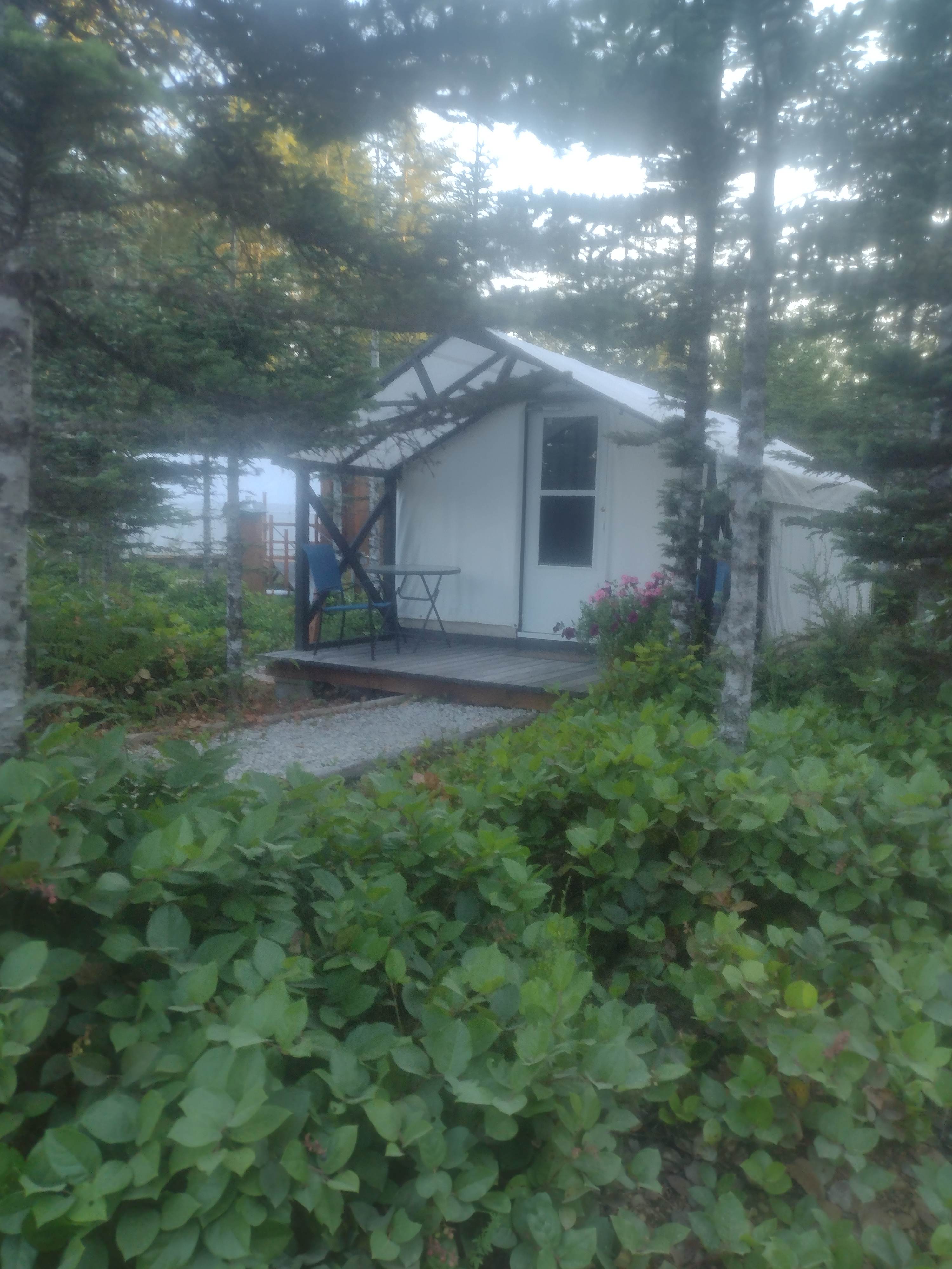 Picture of the site