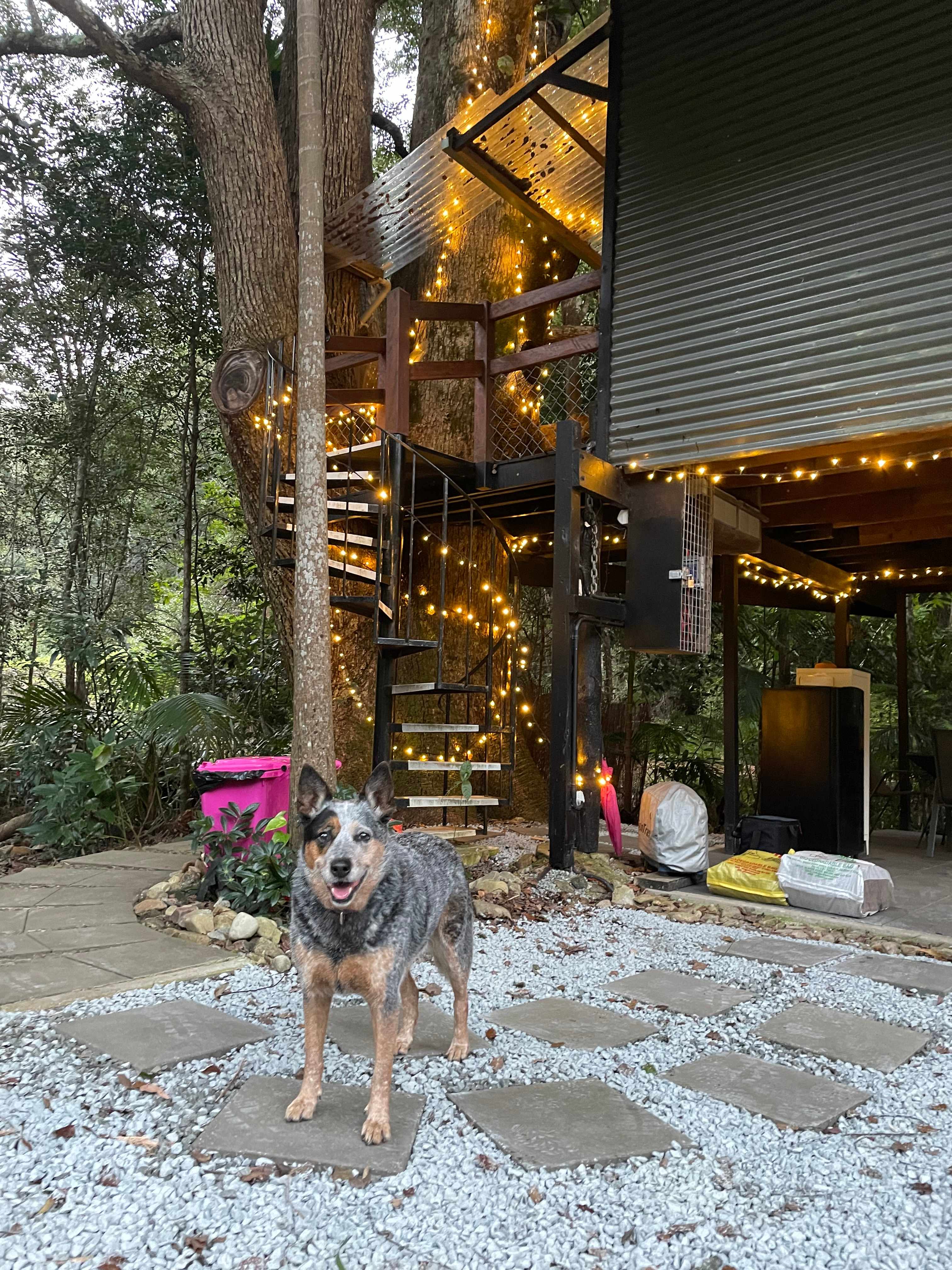 Crystal Creek Rainforest Treehouse