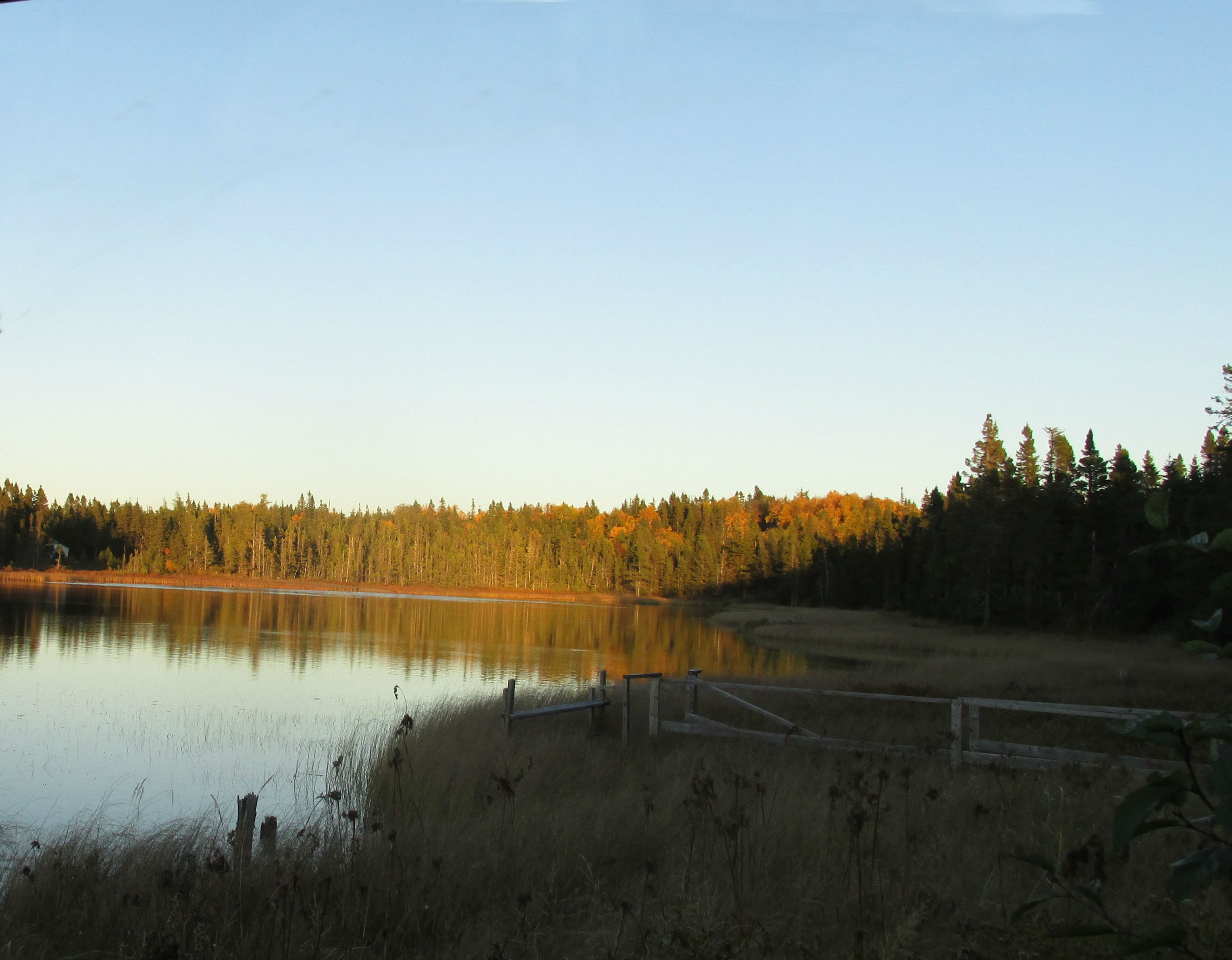 Overlooking the pond located on Farm, we have beavers, ducks, and wildlife present.
