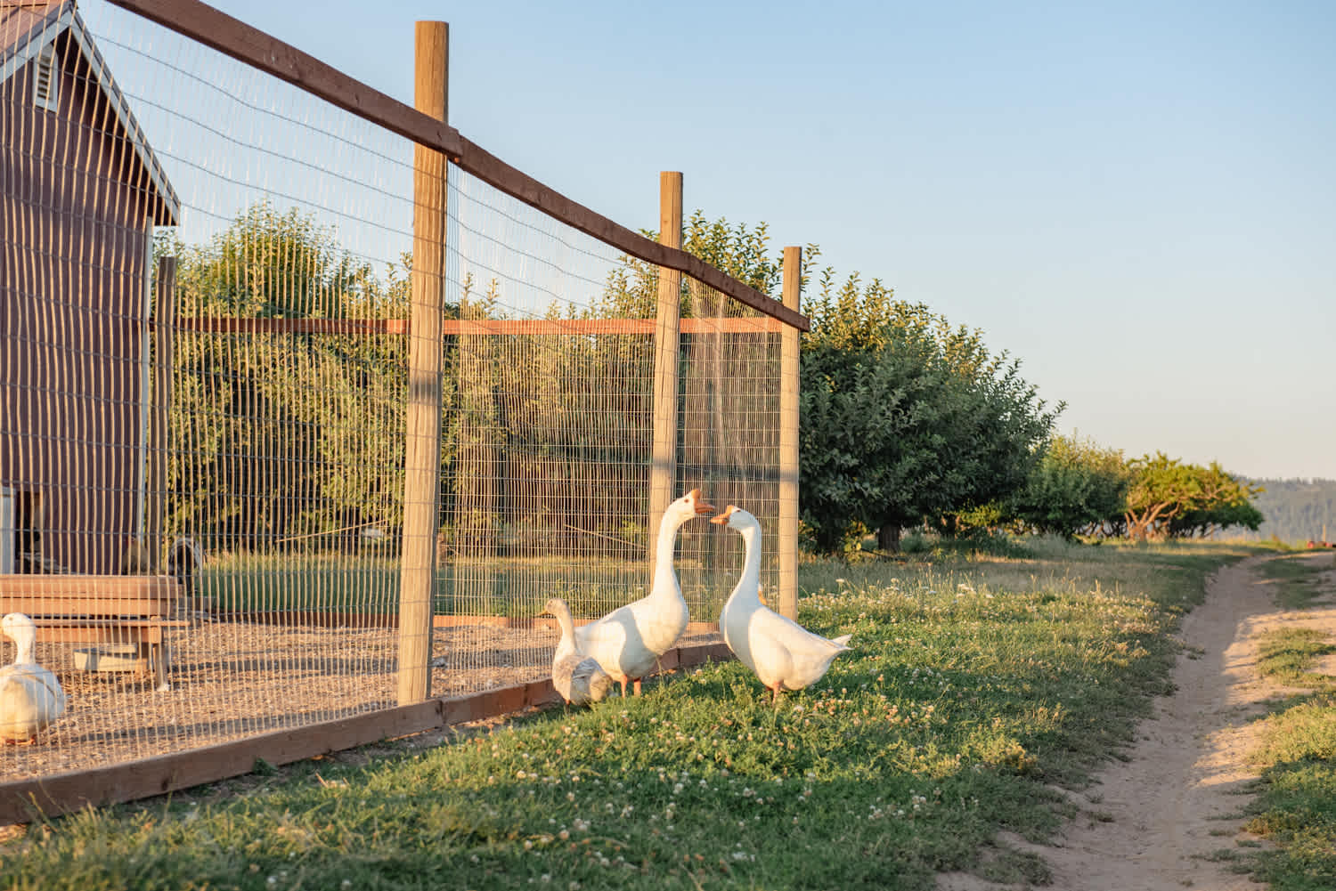 Hidden Acres Orchards
