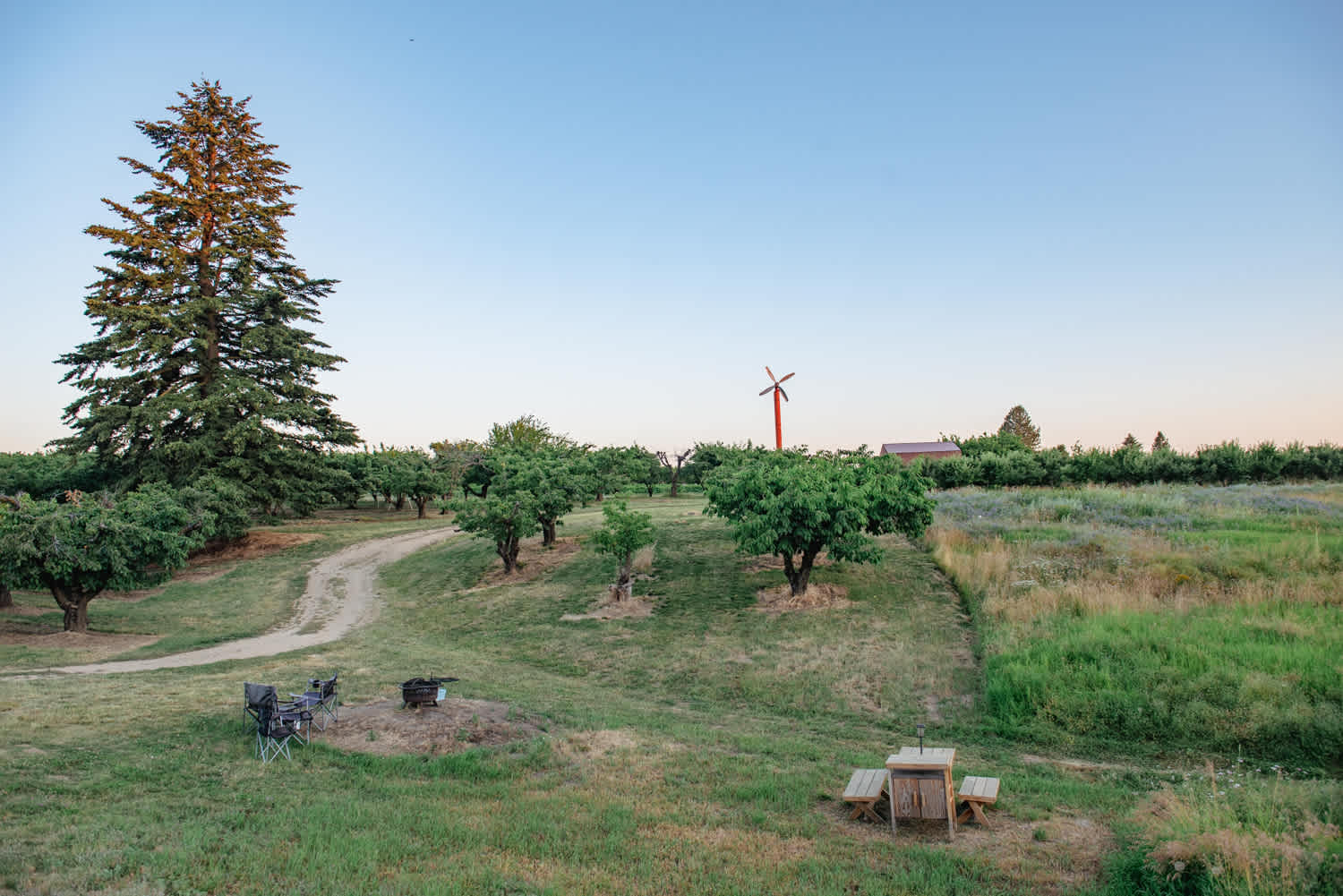Picture of the site