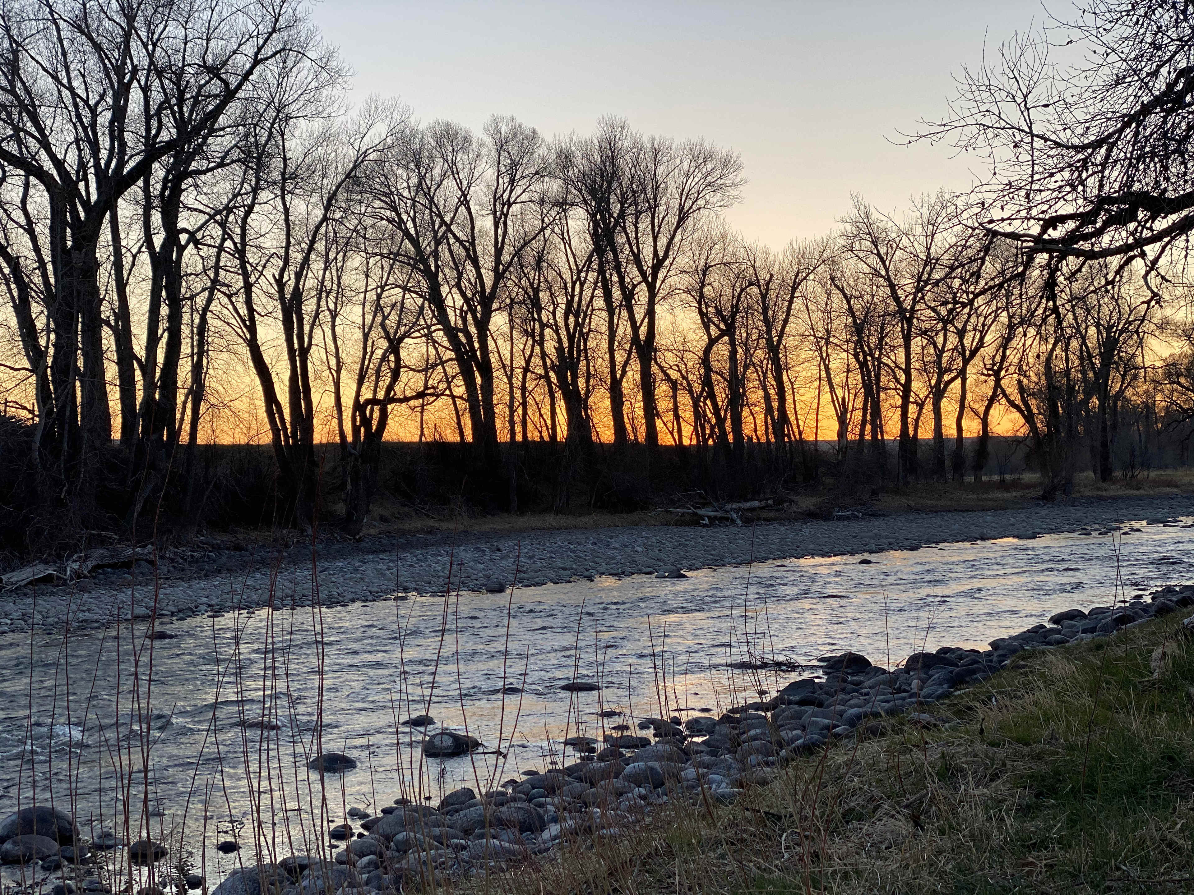 Solitude on the Meadow by the River