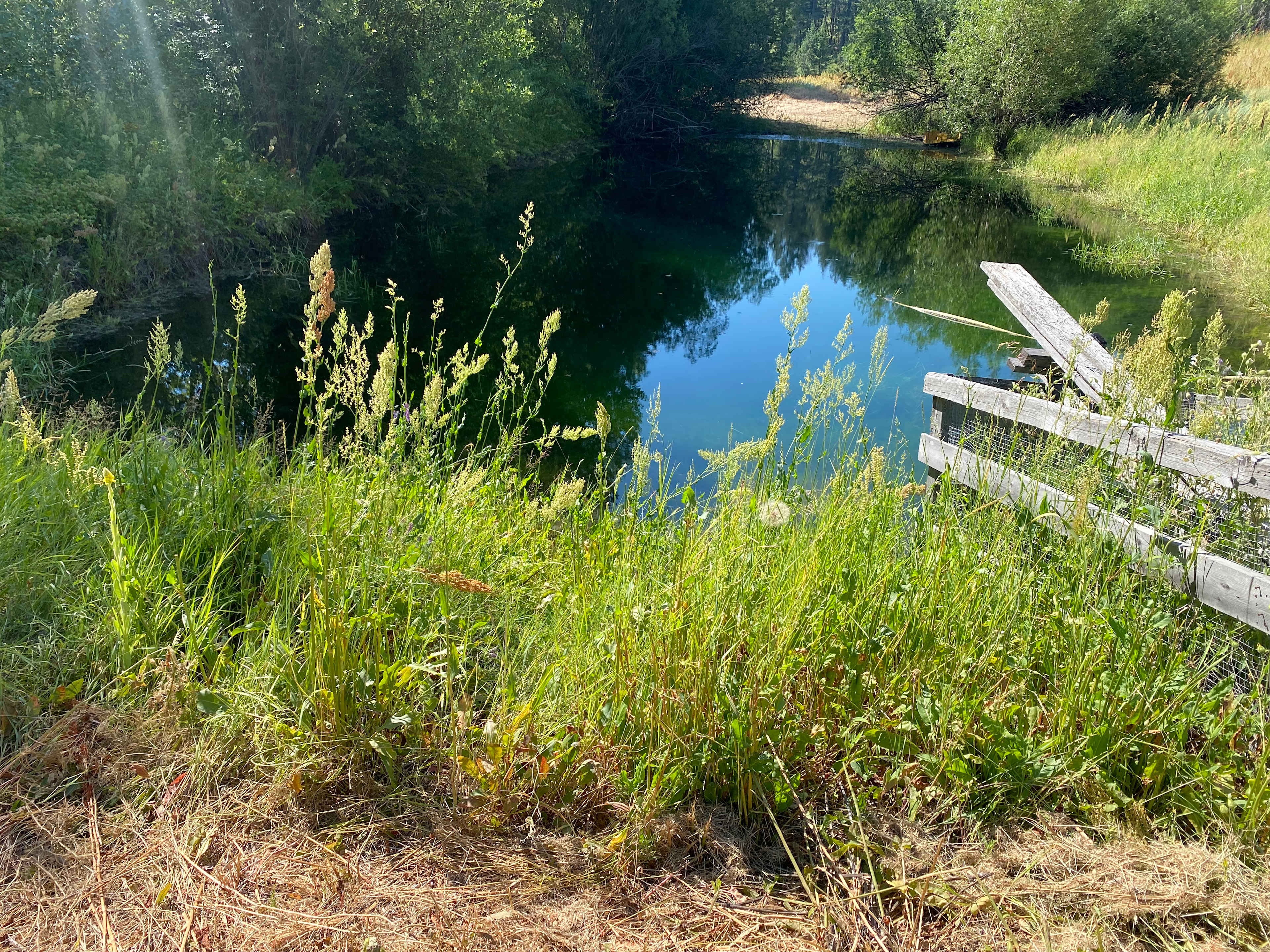 Creekside Camping