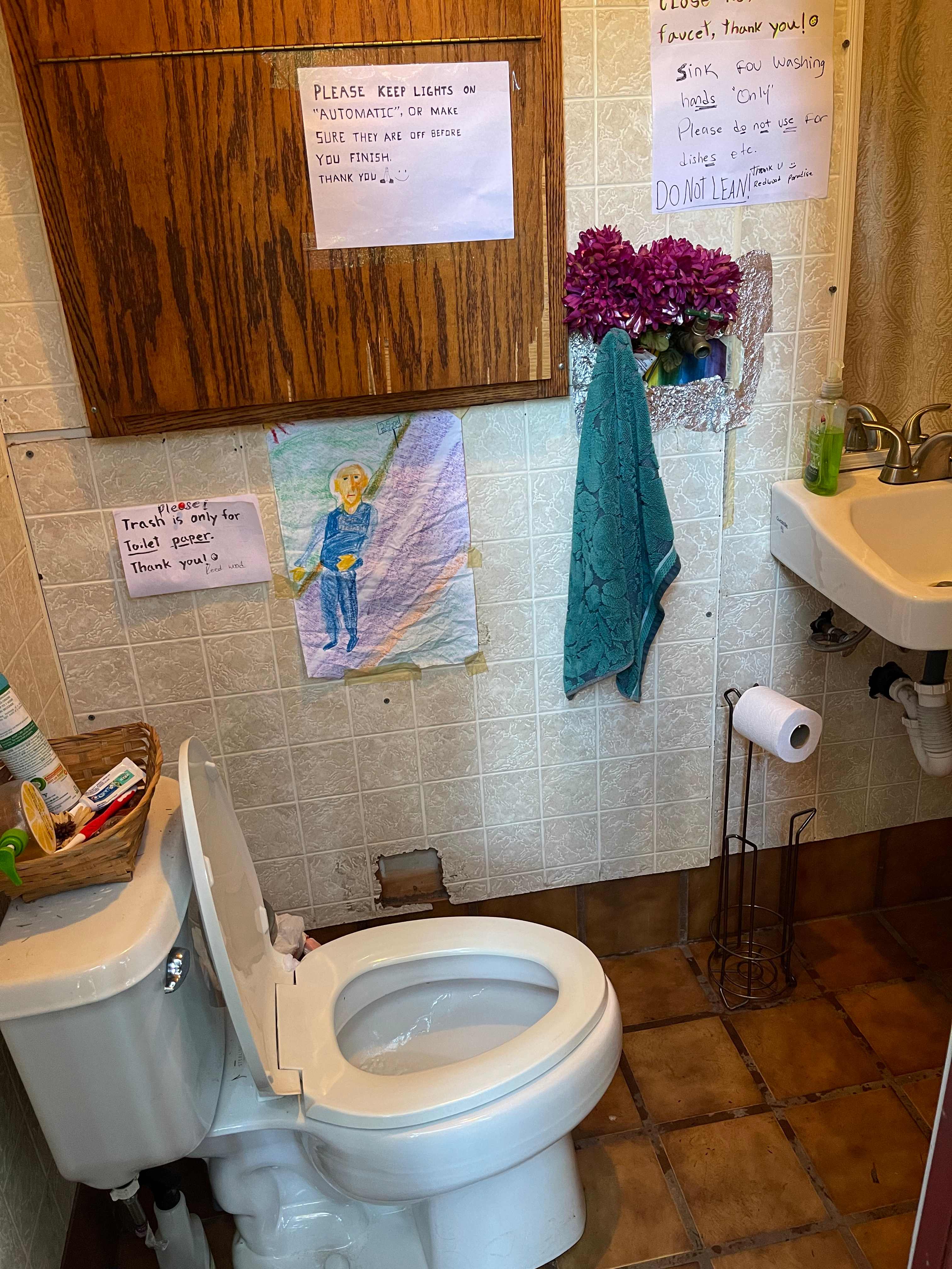 Clean flush toilet