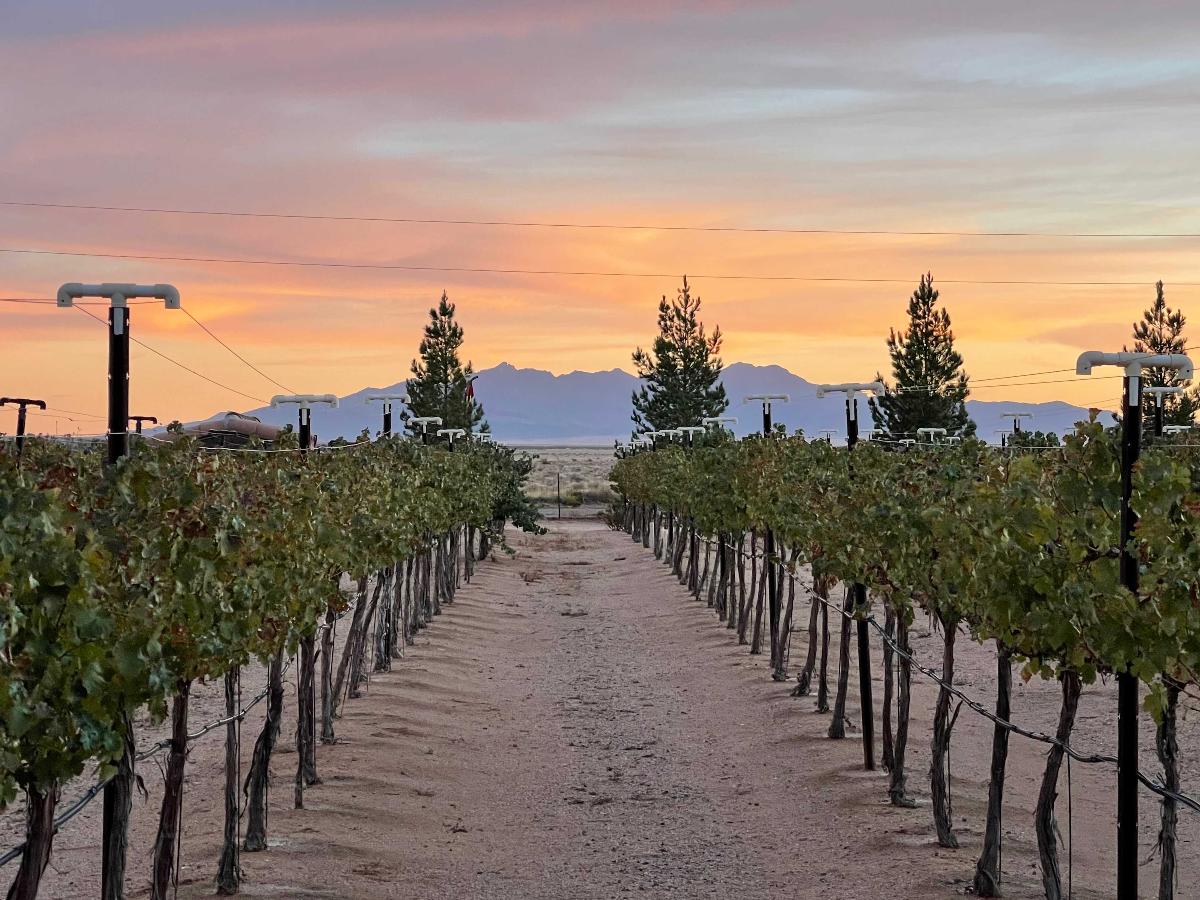 Cella Winery Hipcamp in Valle Vista, Arizona