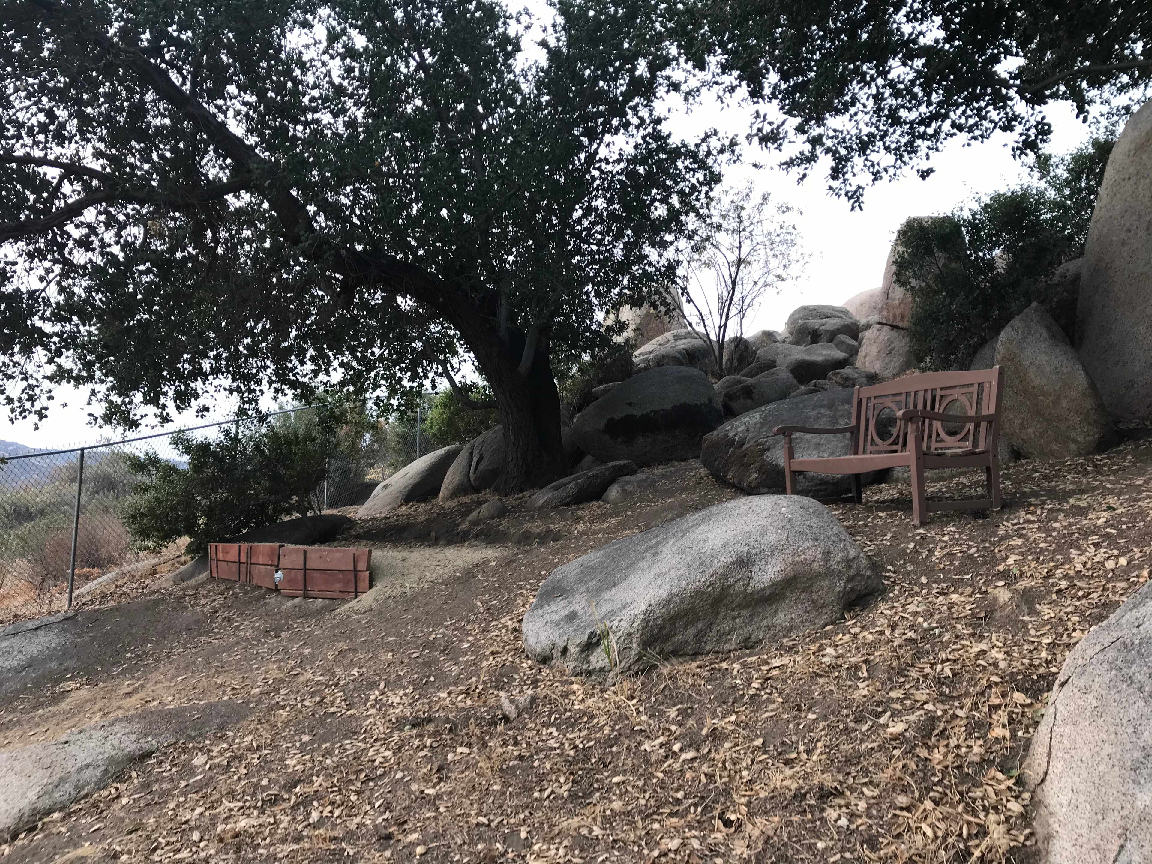 Picture of the site