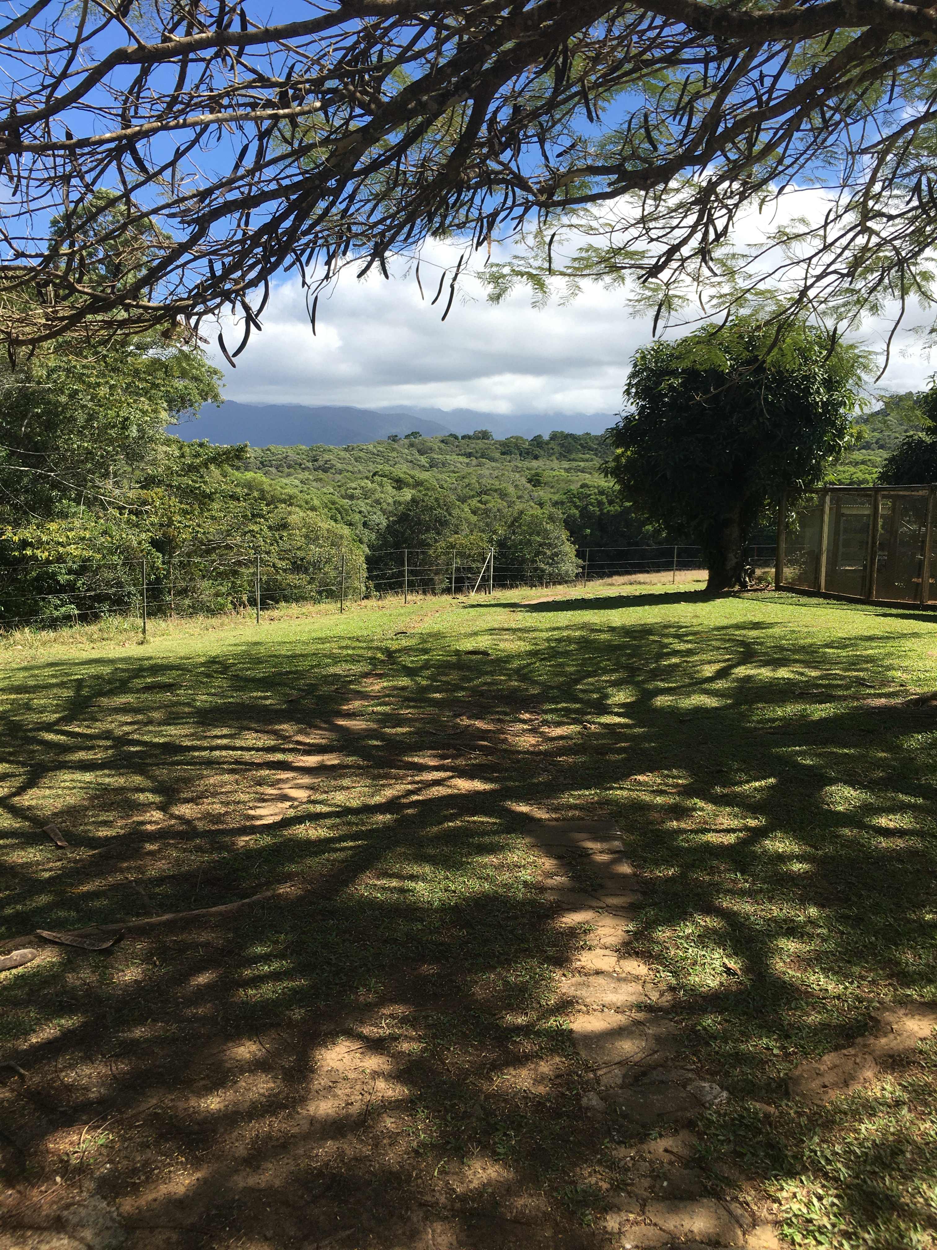 Twitcher’s Hill
