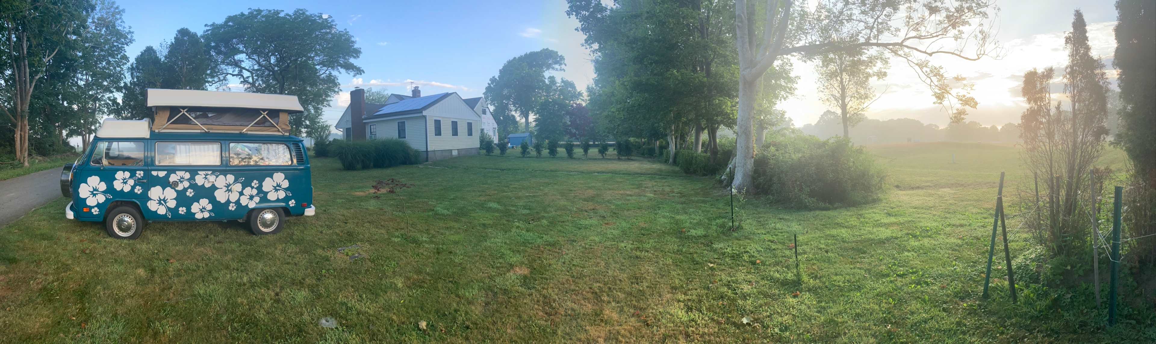 Picture of the site