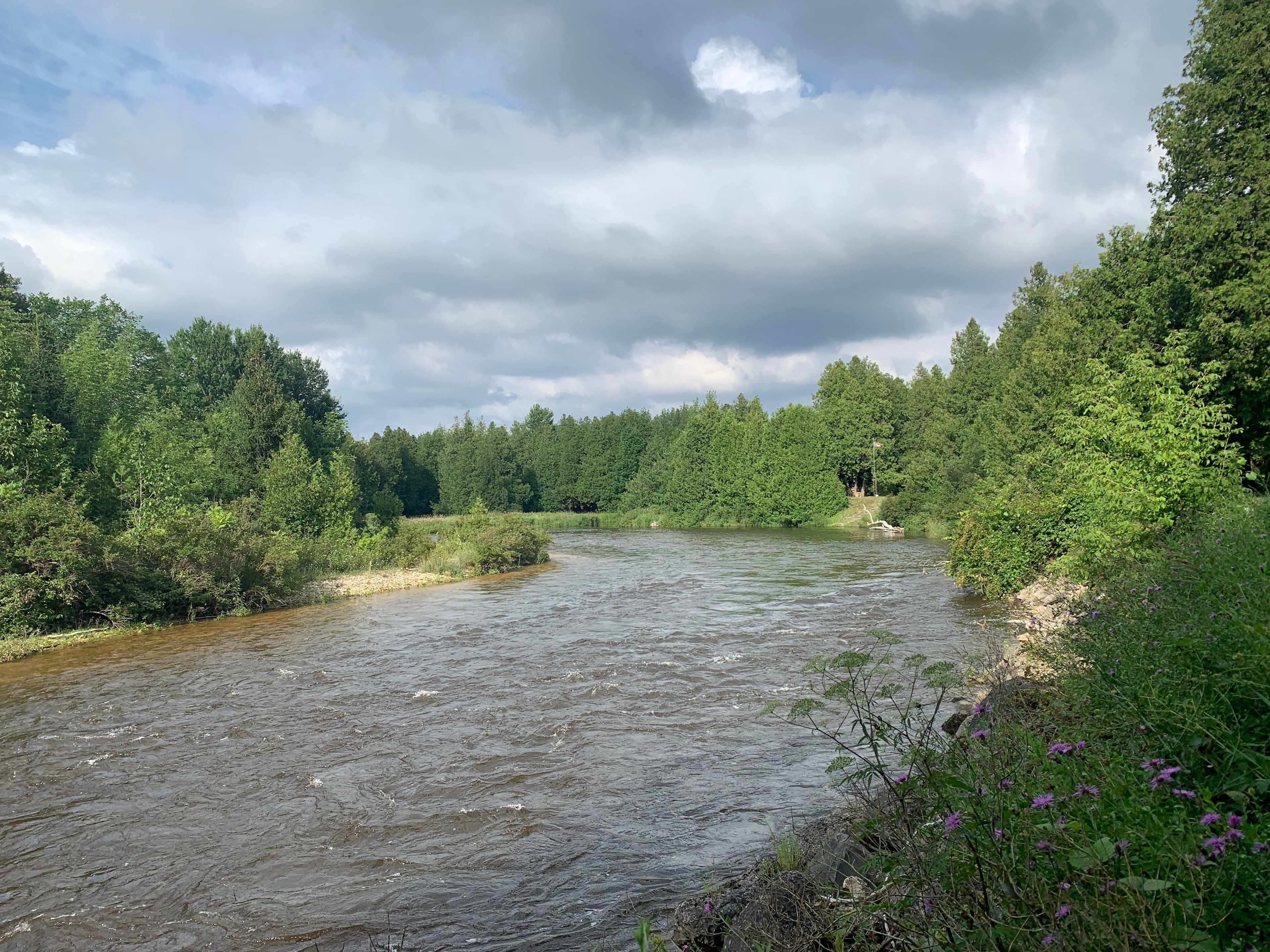 Camp along the banks of the Saugeen River