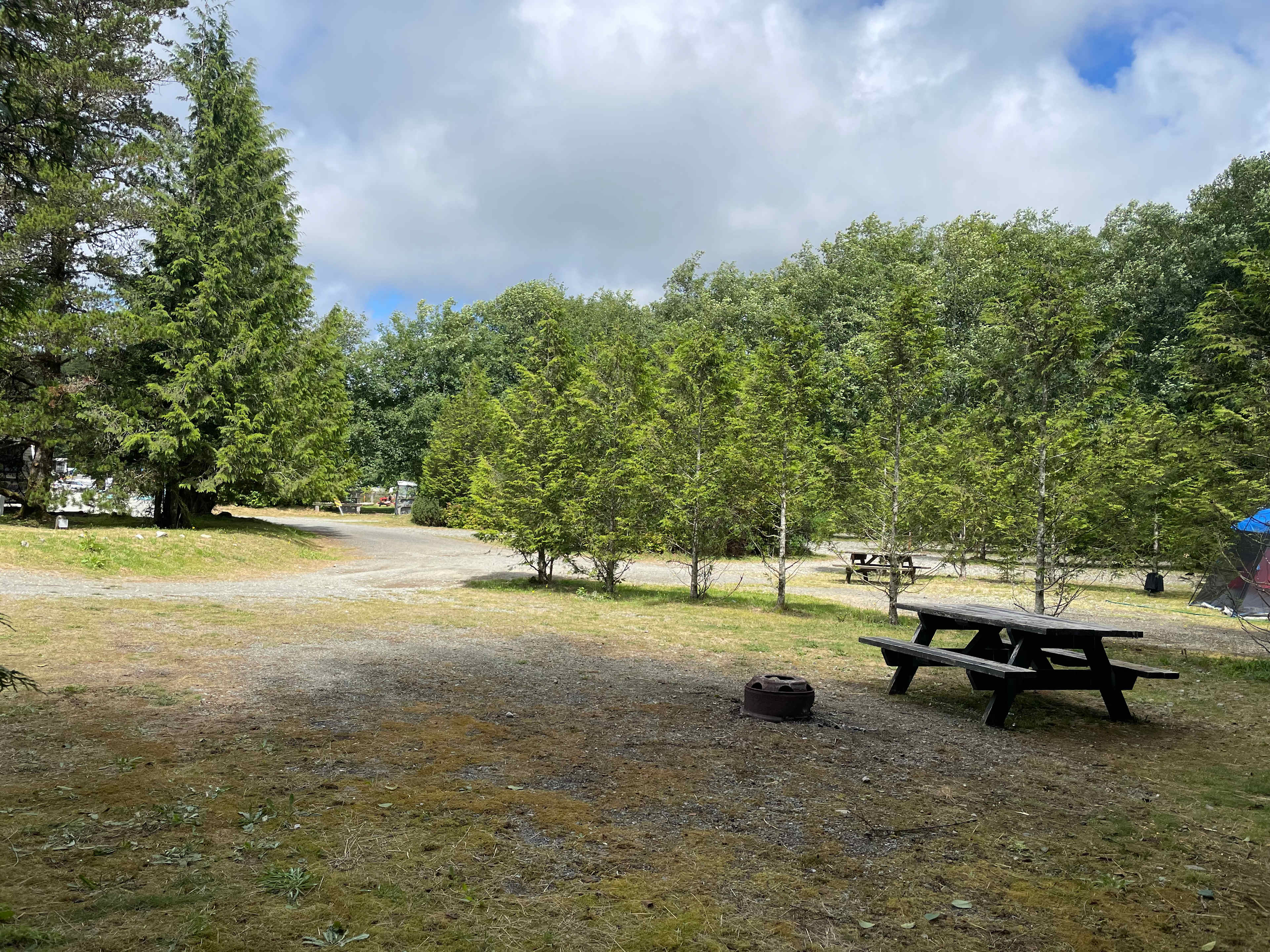 Picture of the site