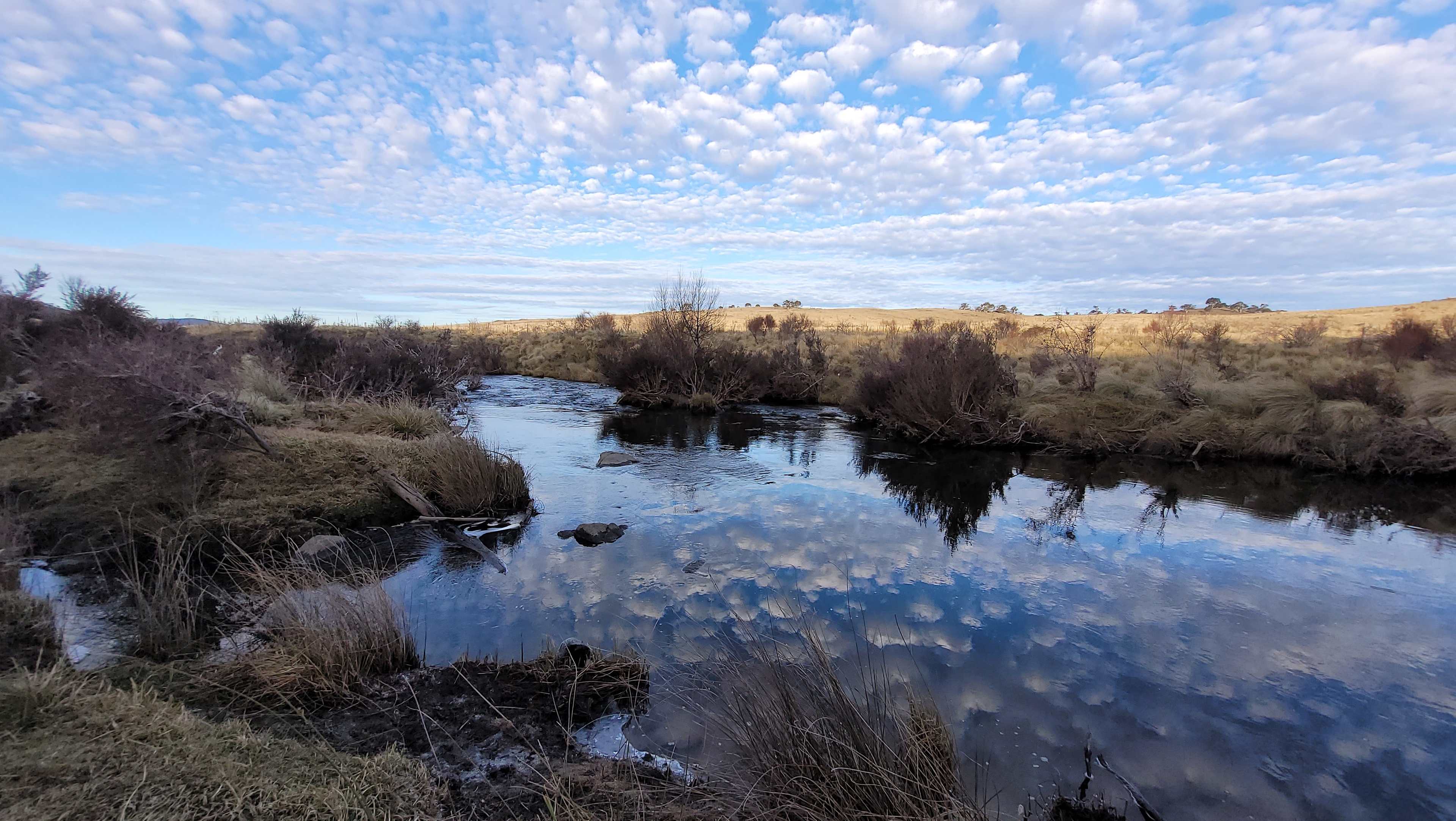 Mowamba River, a short walk down Mowamba Way