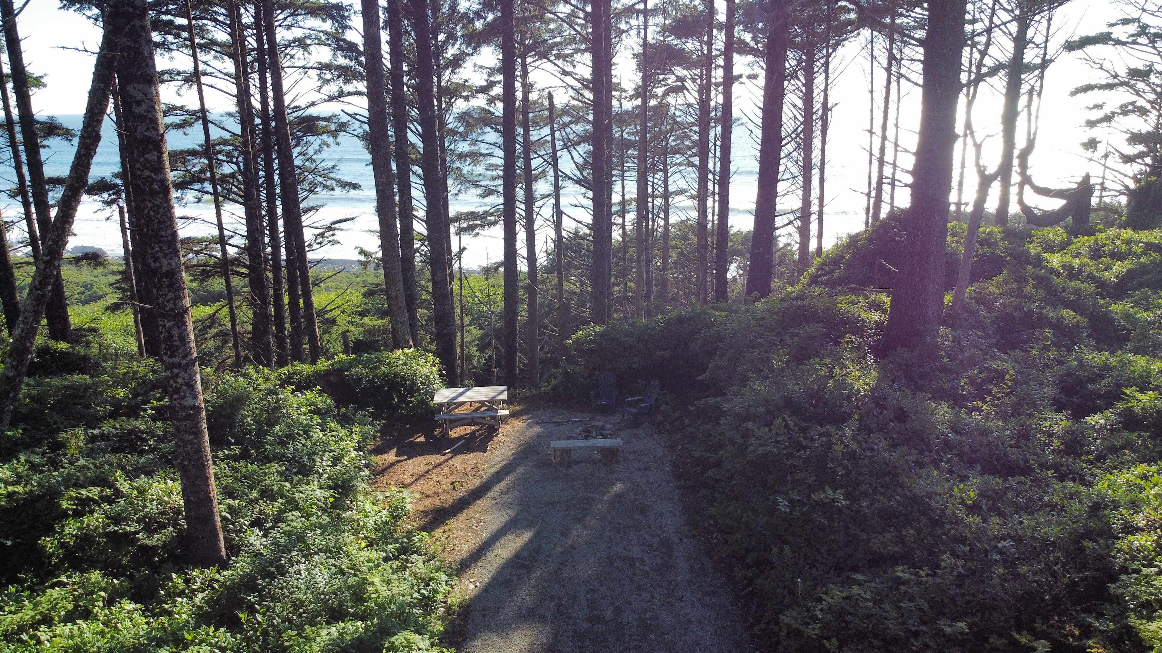 Picture of the site