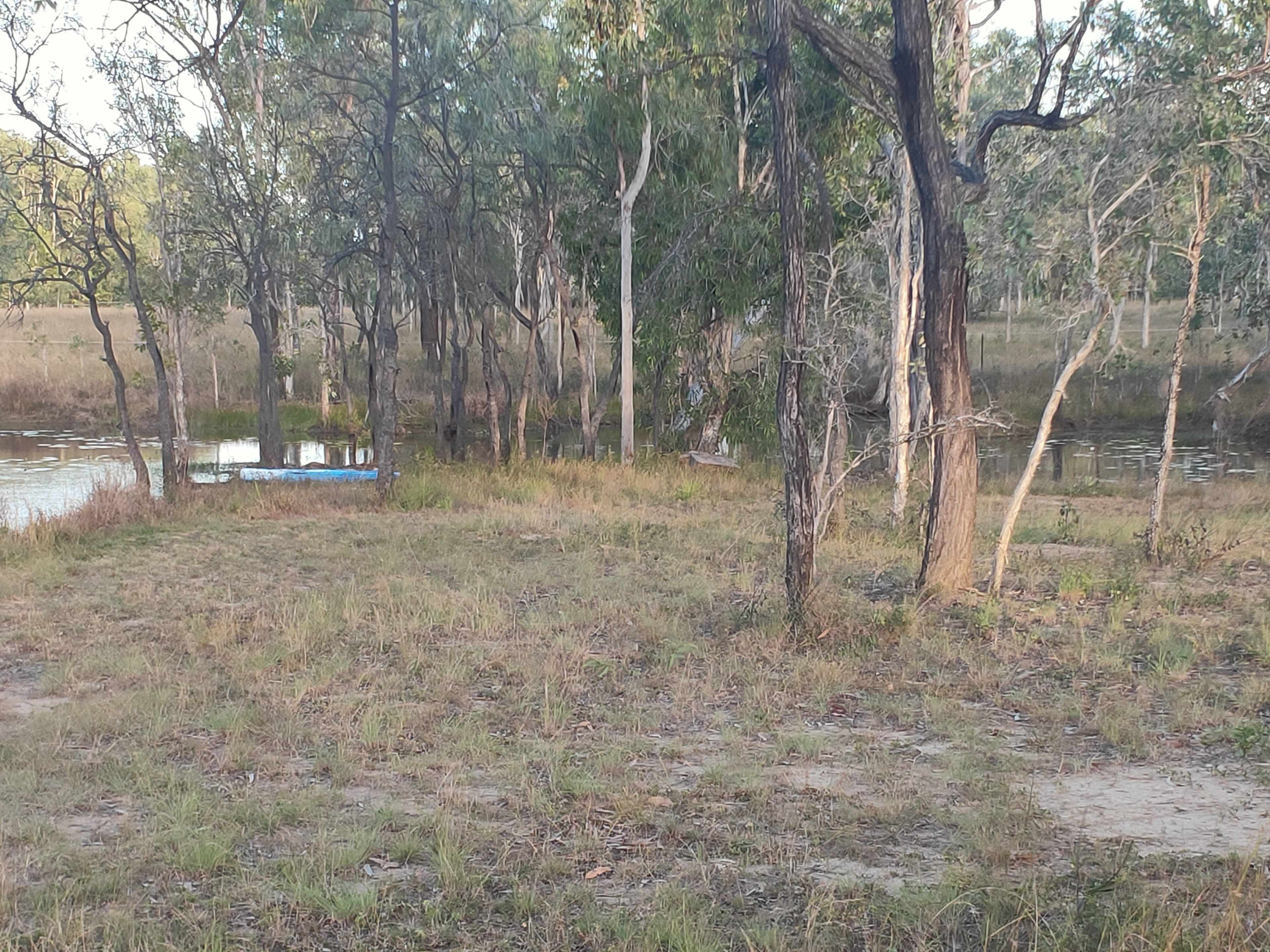 Black River Bush Retreat