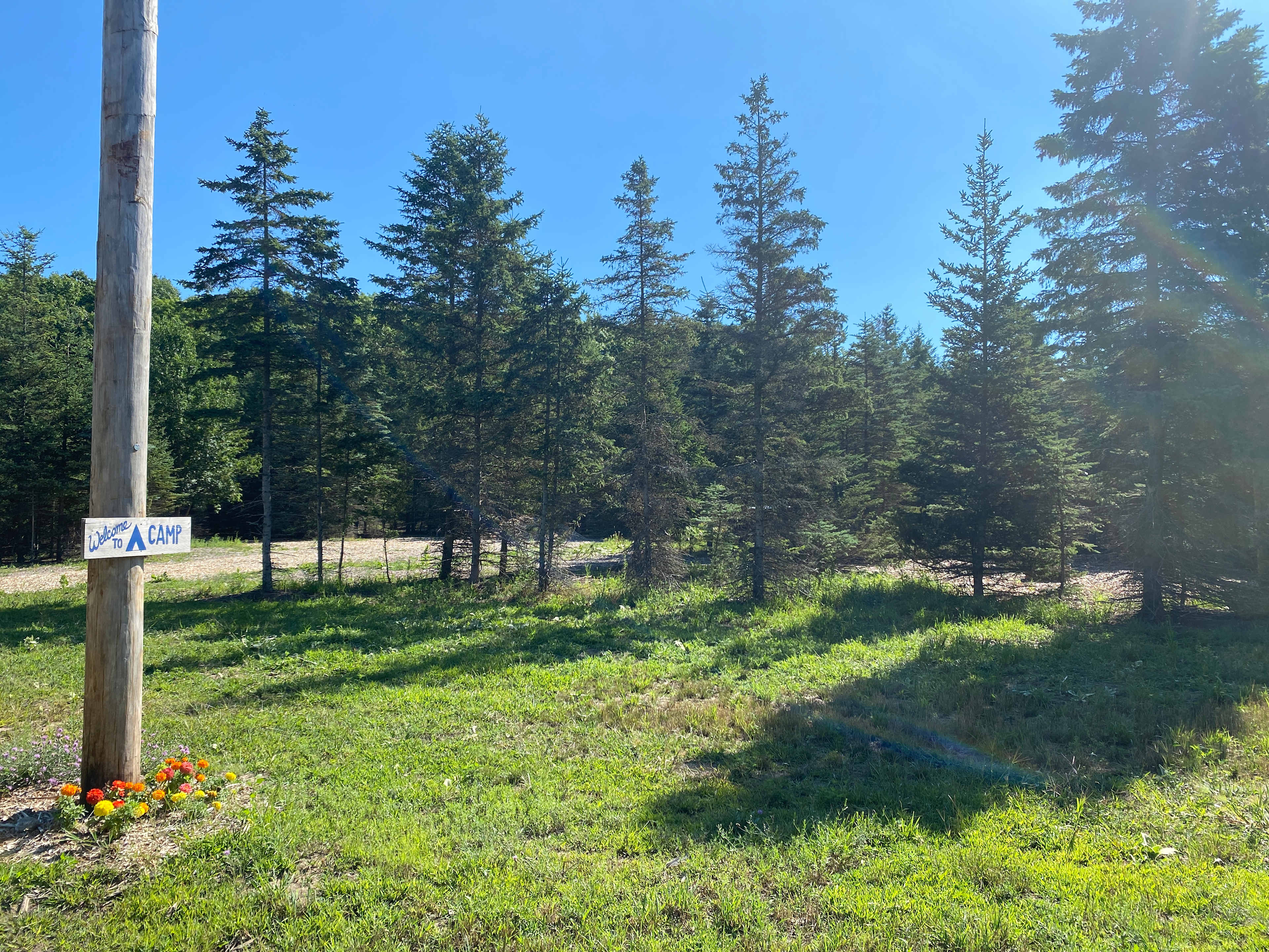 Picture of the site